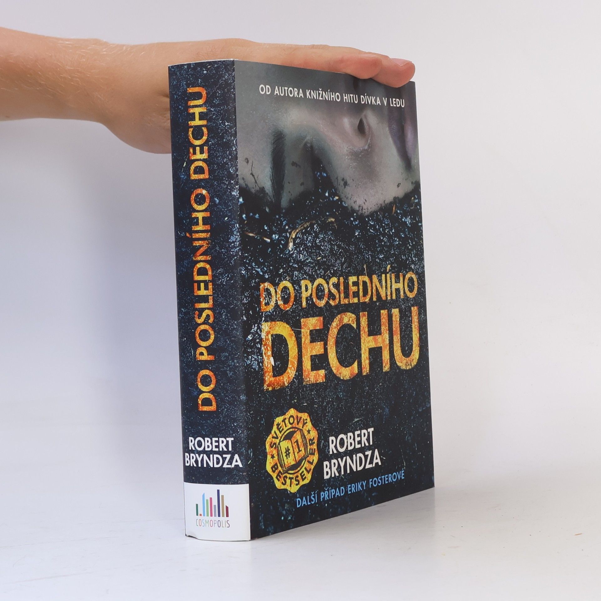 Robert Bryndza Do posledního dechu