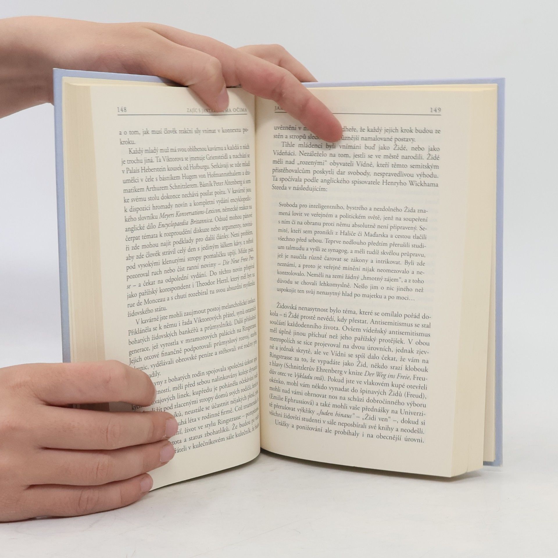 Edmund De Waal Zajíc s jantarovýma očima