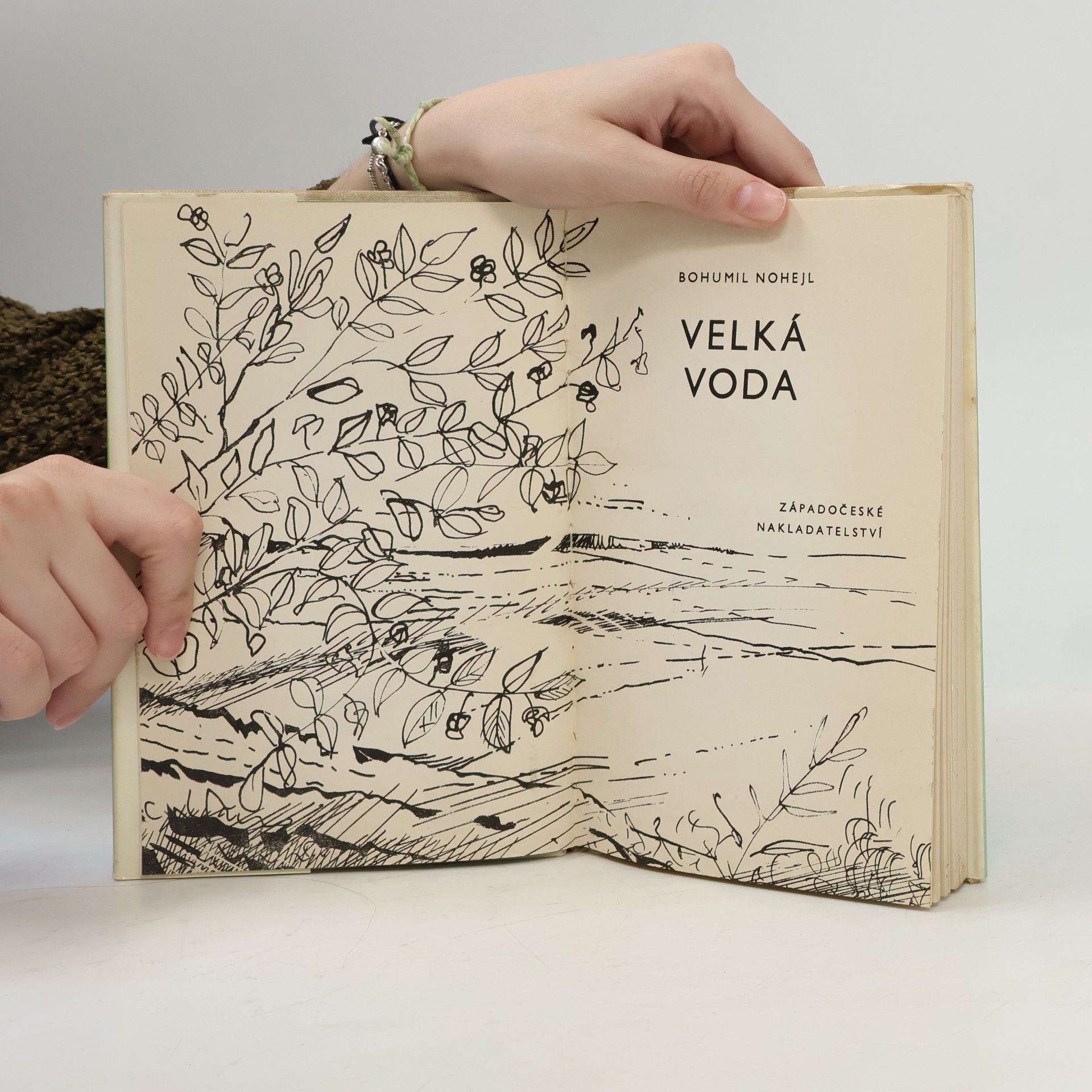 Bohumil Nohejl Velká voda