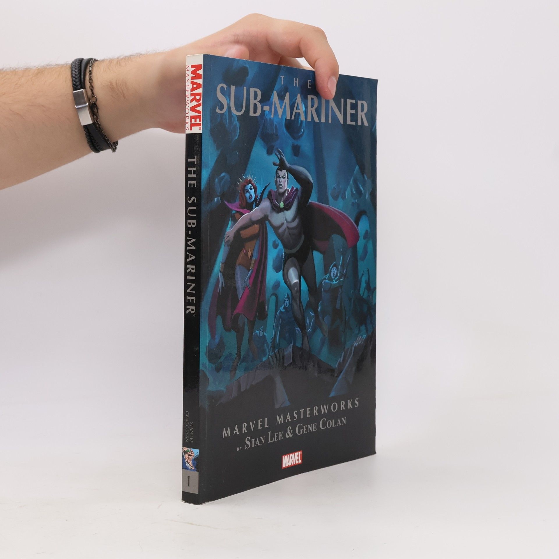 Stan Lee Marvel Masterworks