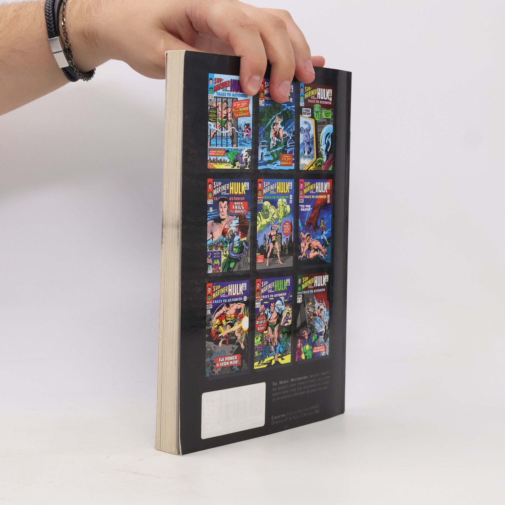 Stan Lee Marvel Masterworks