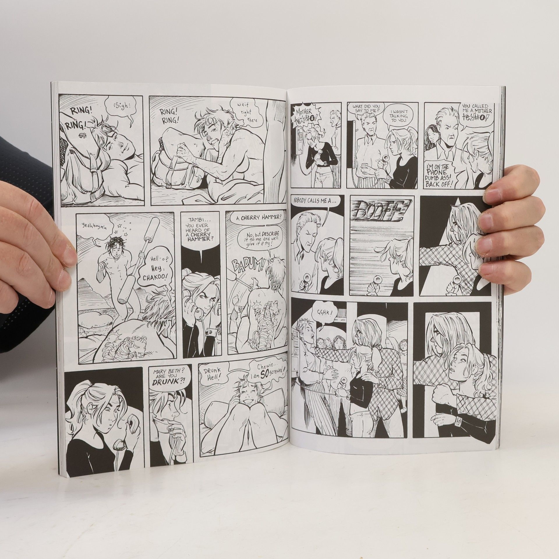 Terry Moore Strangers in Paradise, Volume 12