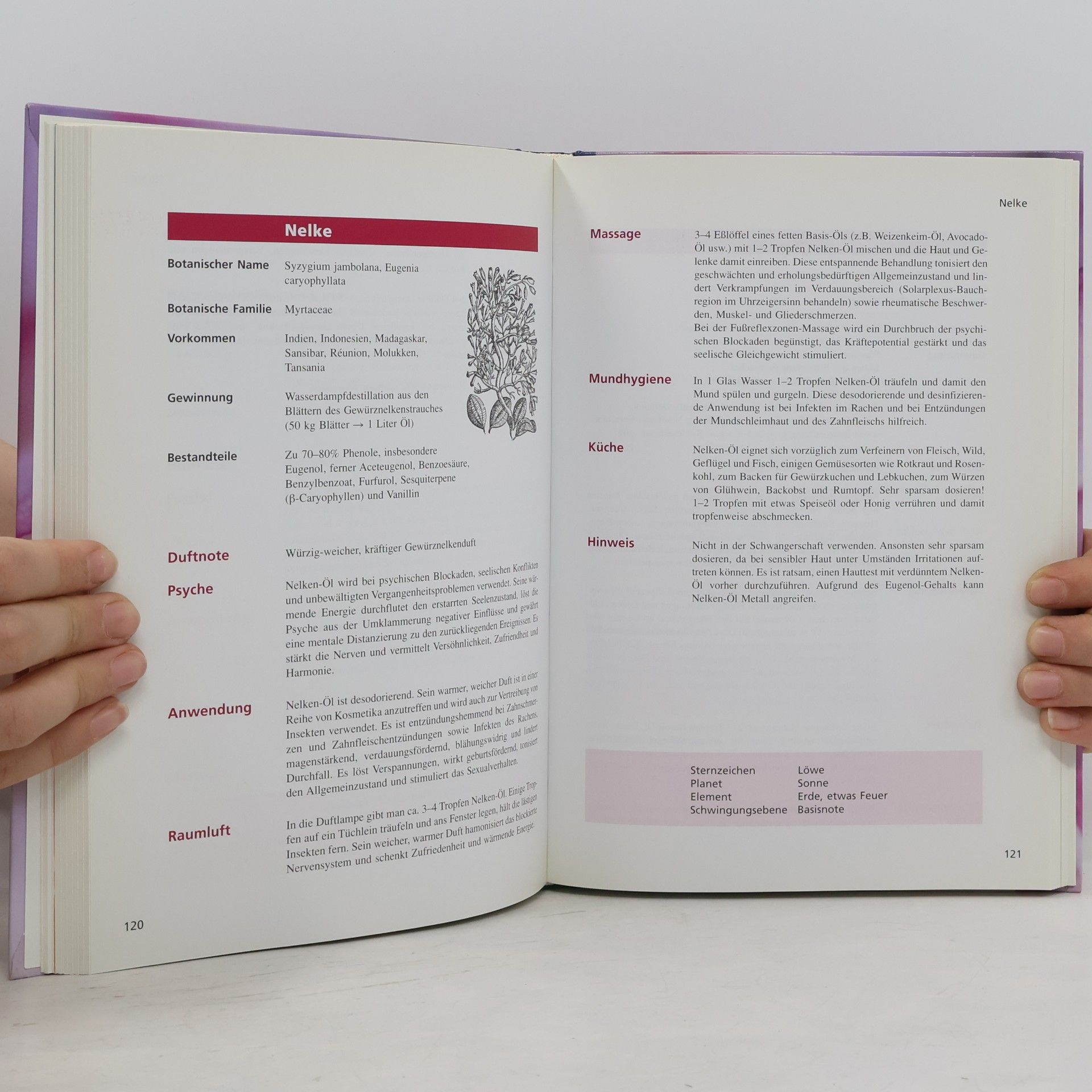 Edeltraud Lubinic Handbuch Aromatherapie