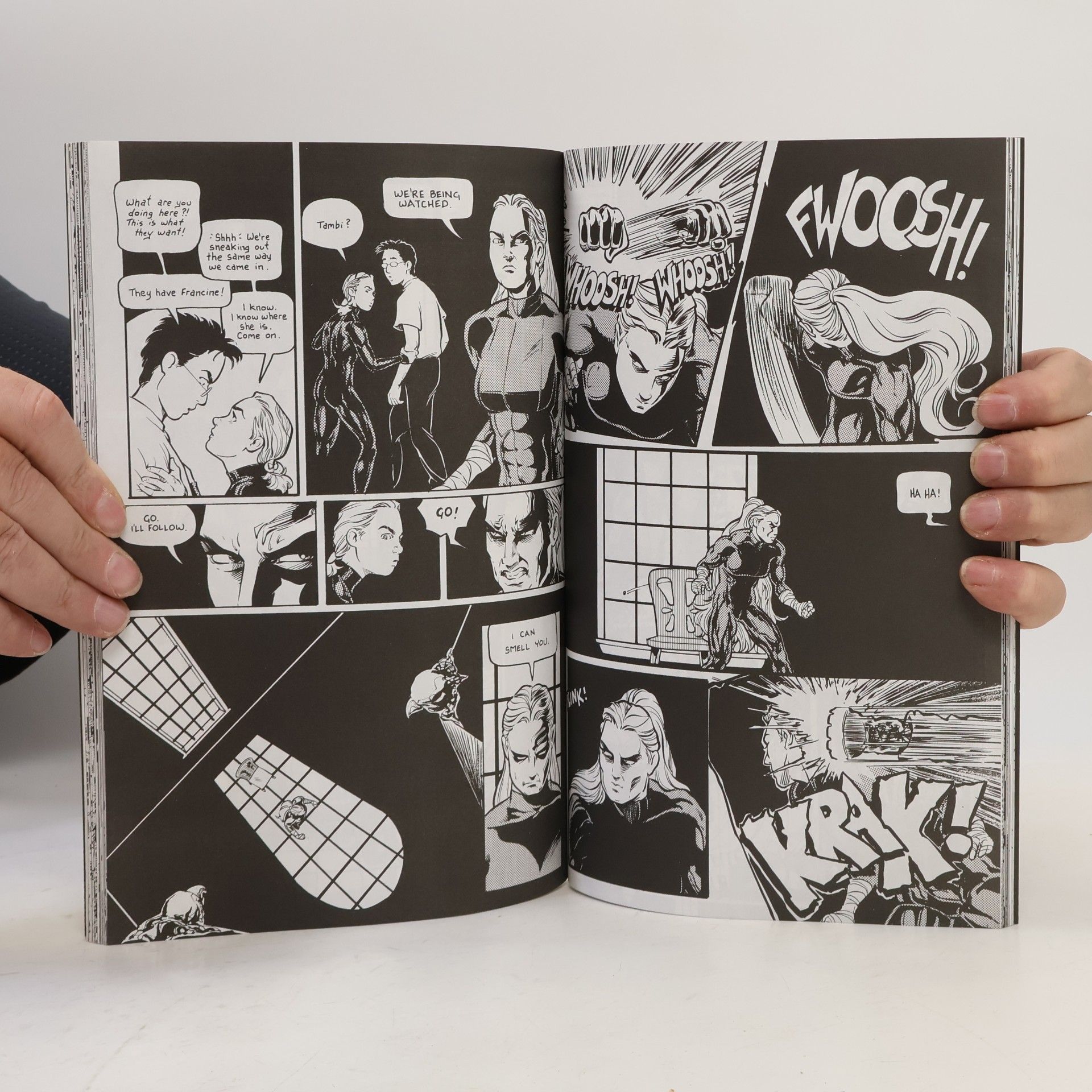 Terry Moore Strangers in Paradise 9