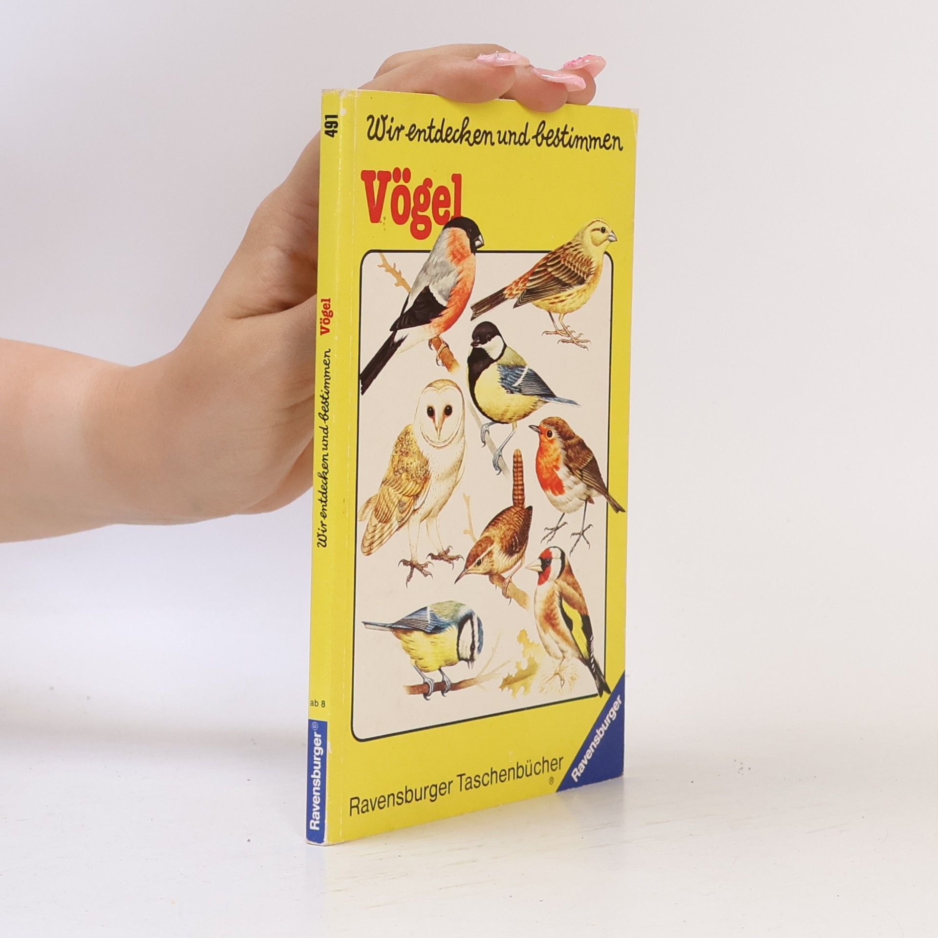 Autorenkollektiv Wir entdecken und bestimmen - Vögel