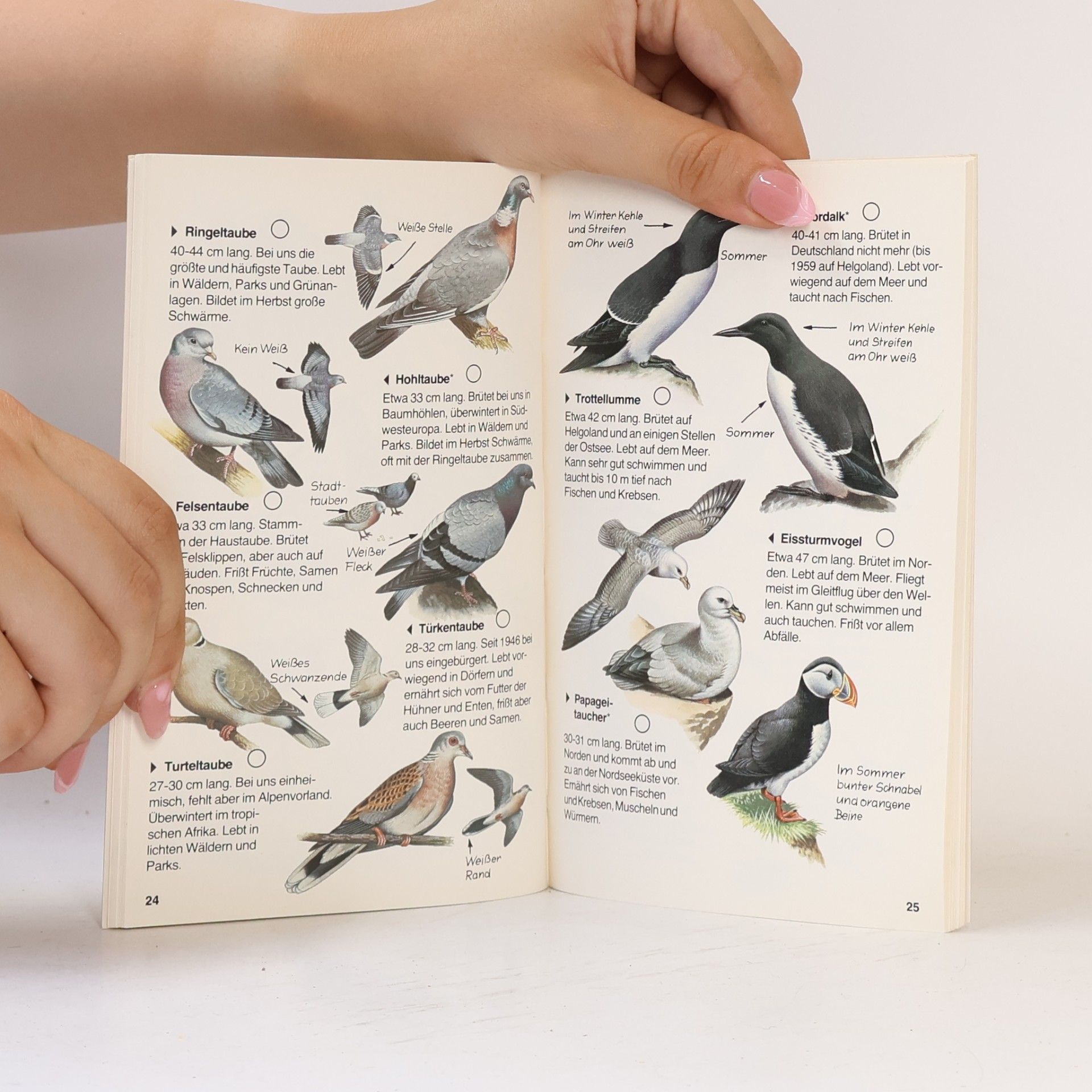 Autorenkollektiv Wir entdecken und bestimmen - Vögel