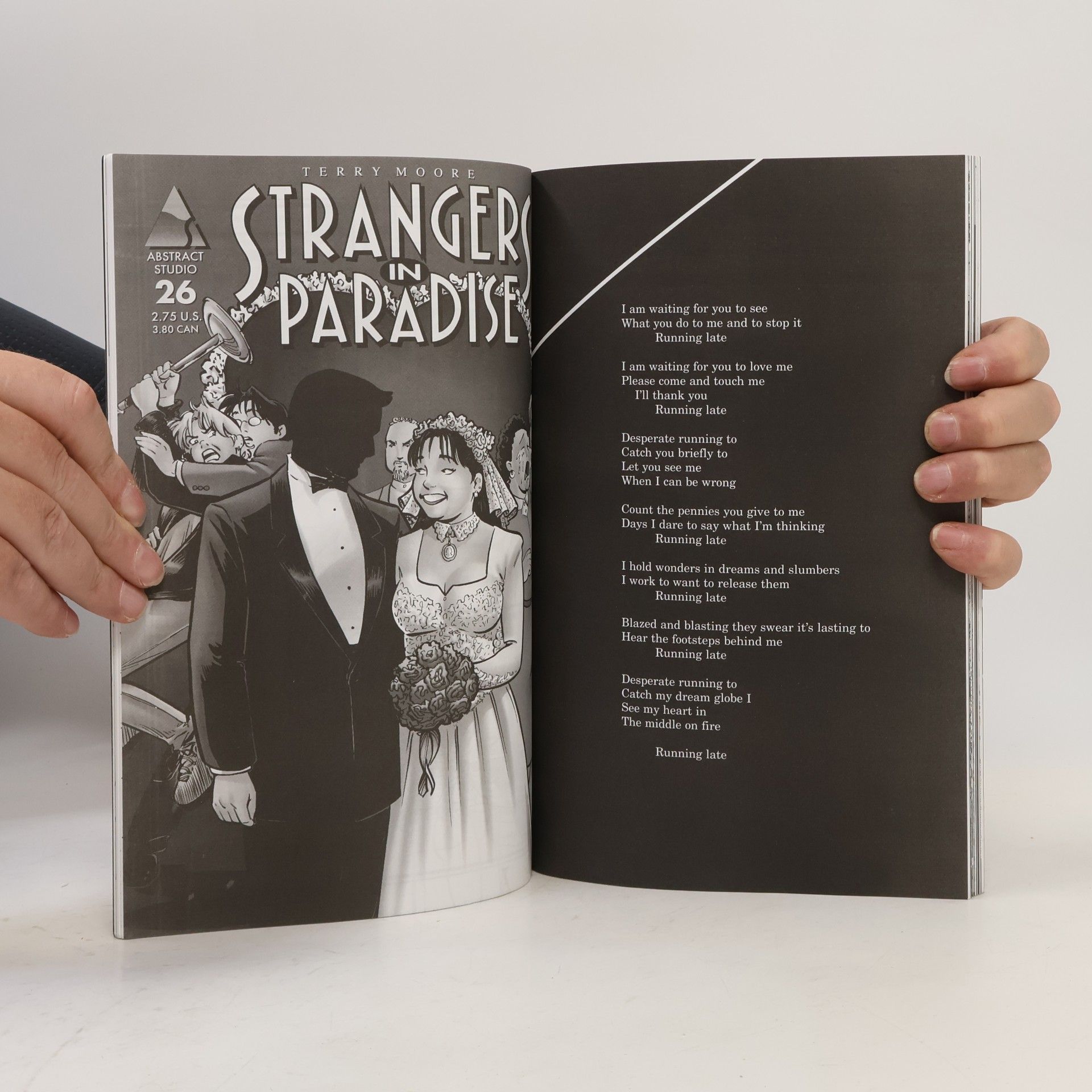 Terry Moore Strangers in Paradise 8