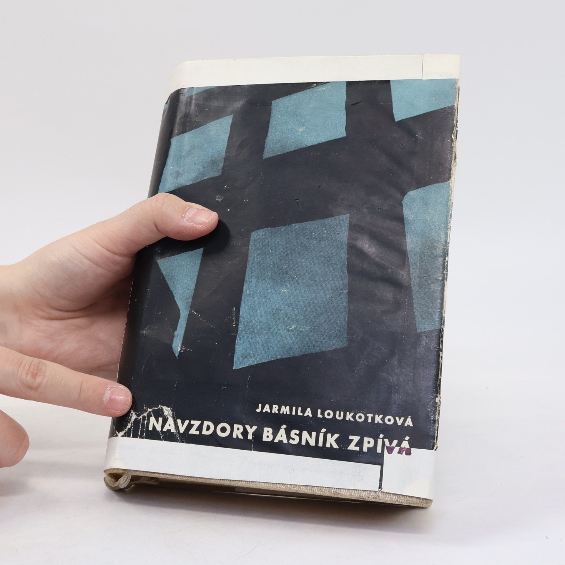 Jarmila Loukotková Navzdory básník zpívá