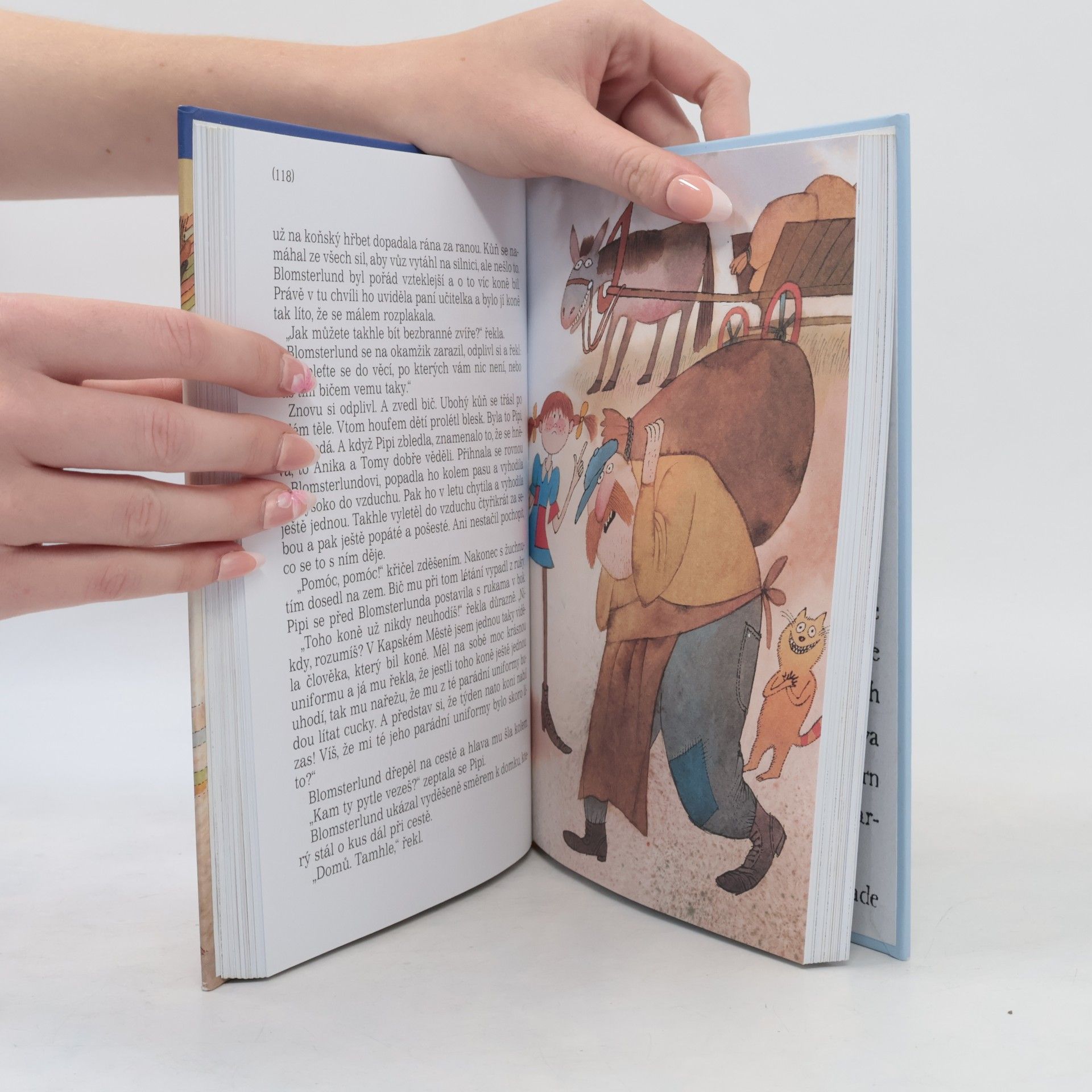 Astrid Lindgren Pipi Dlouhá punčocha