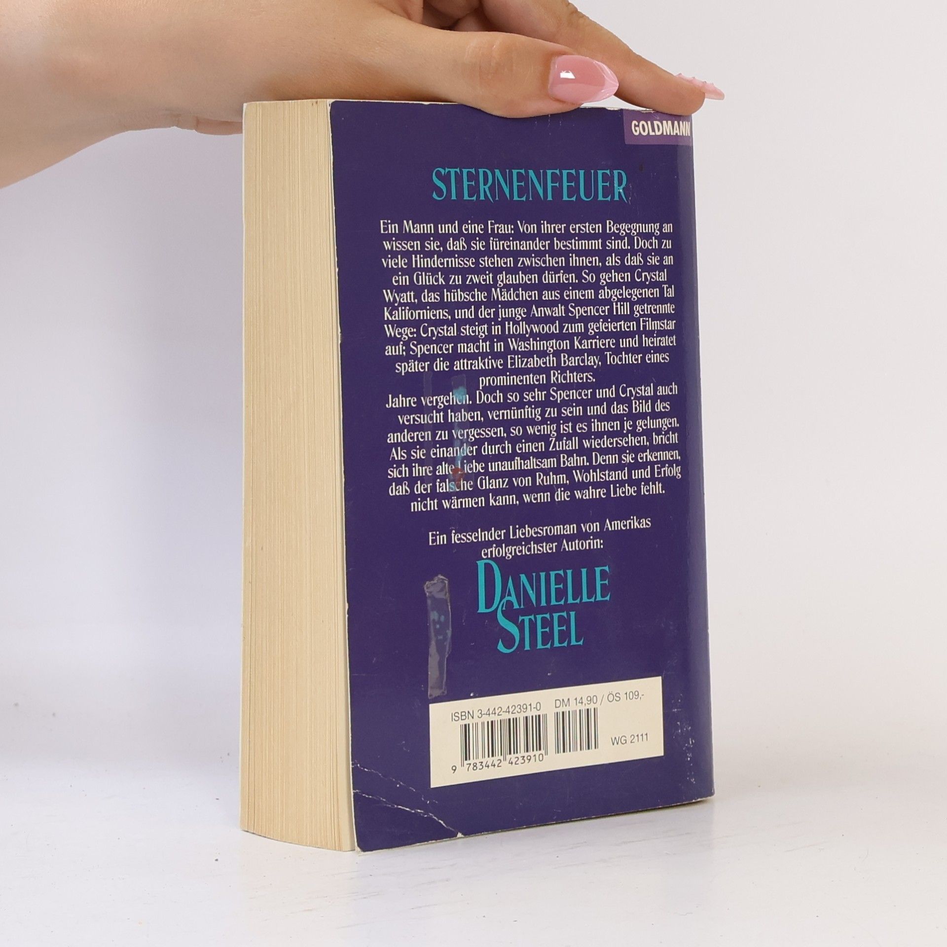 Danielle Steel Sternenfeuer