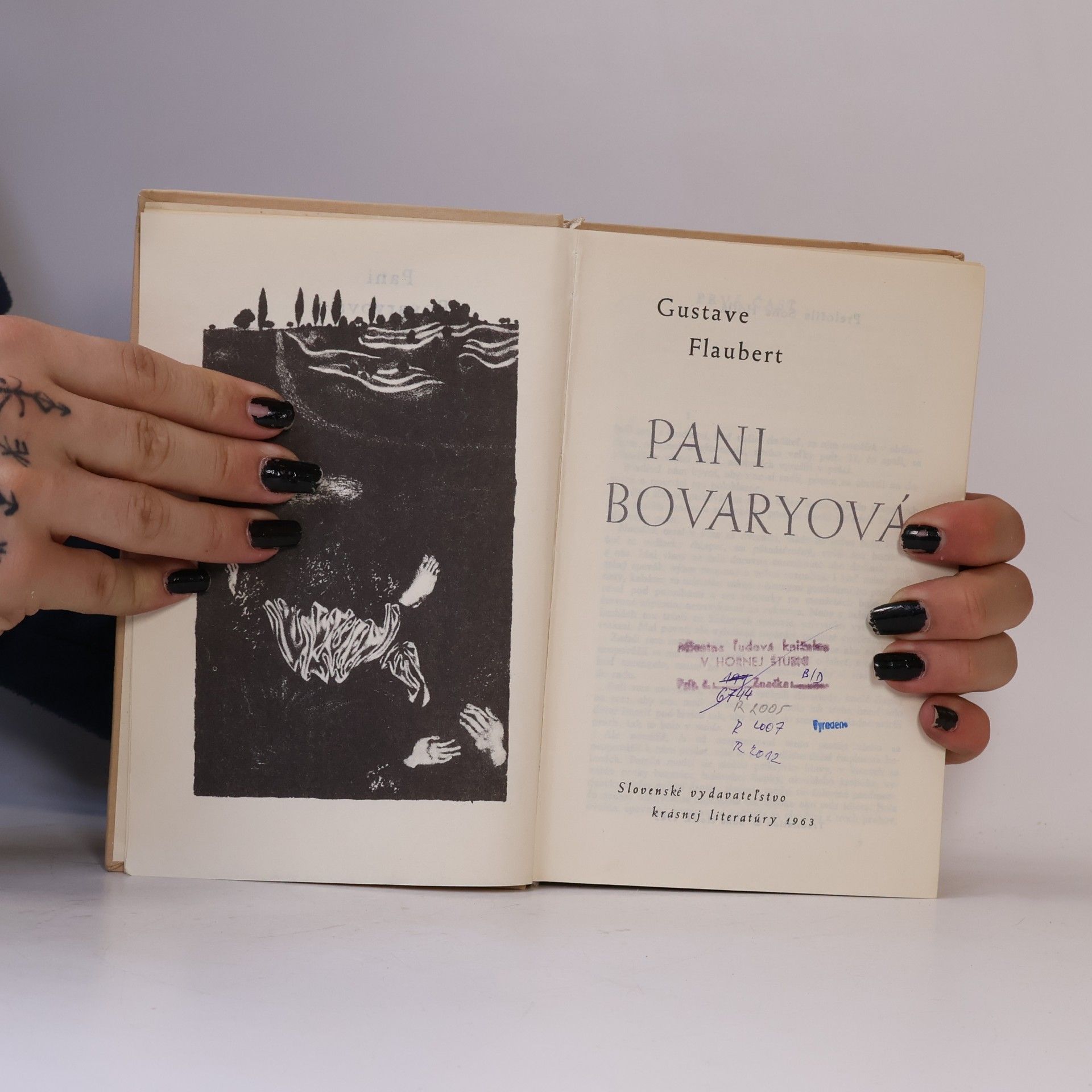 Gustave Flaubert Pani Bovaryová