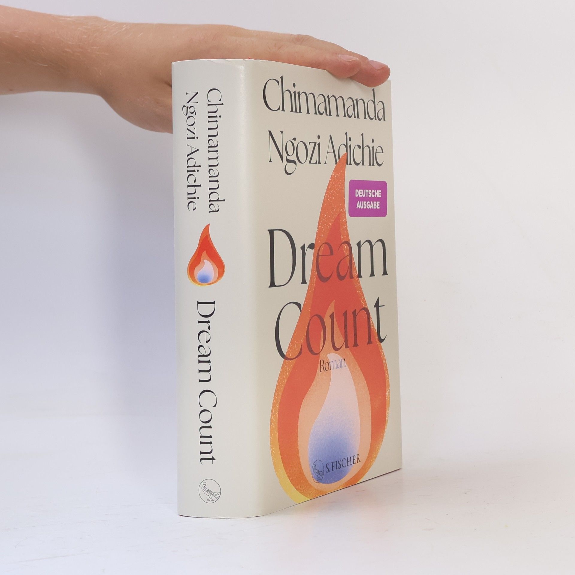 Chimamanda Ngozi Adichie Dream Count