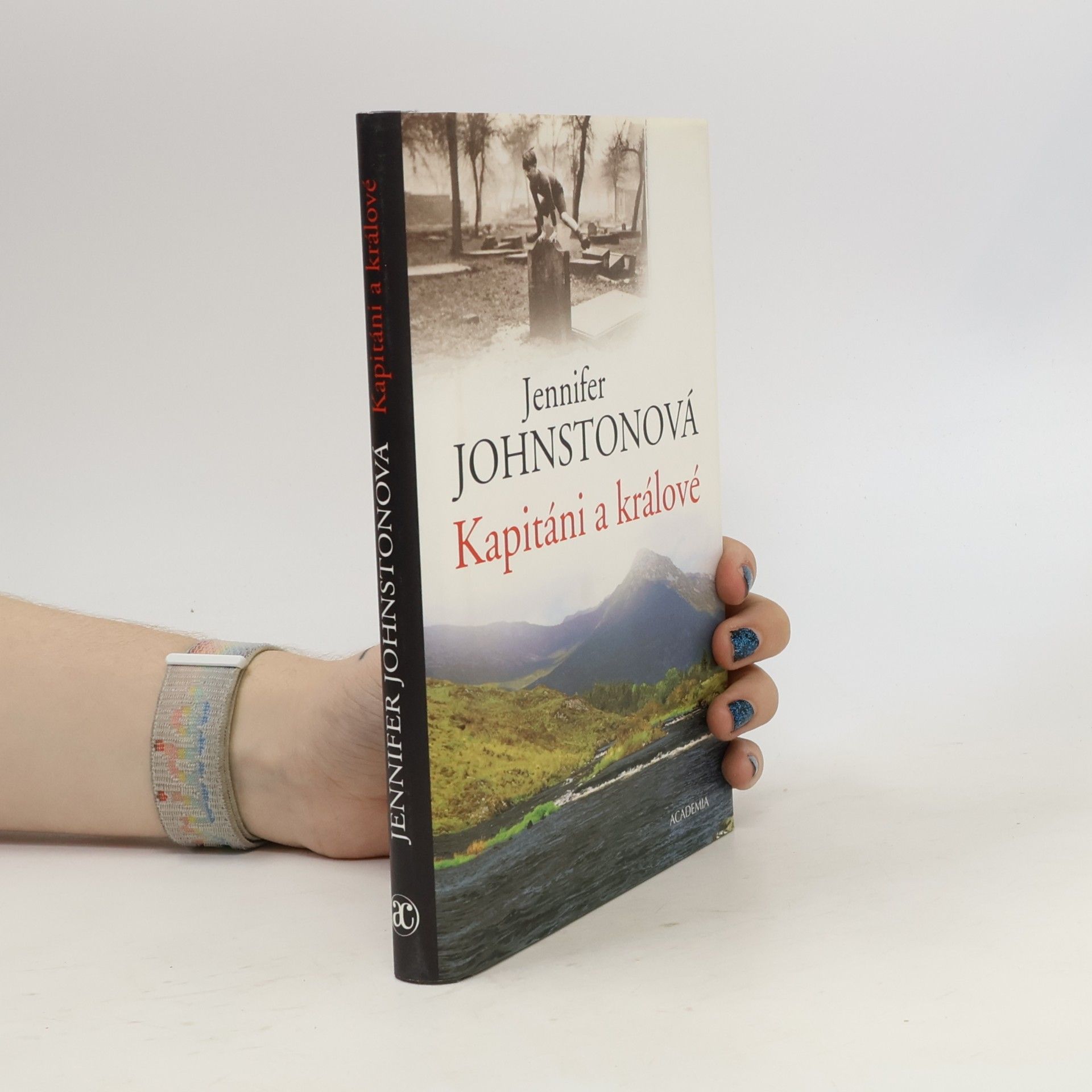 Jennifer Johnston Kapitáni a králové