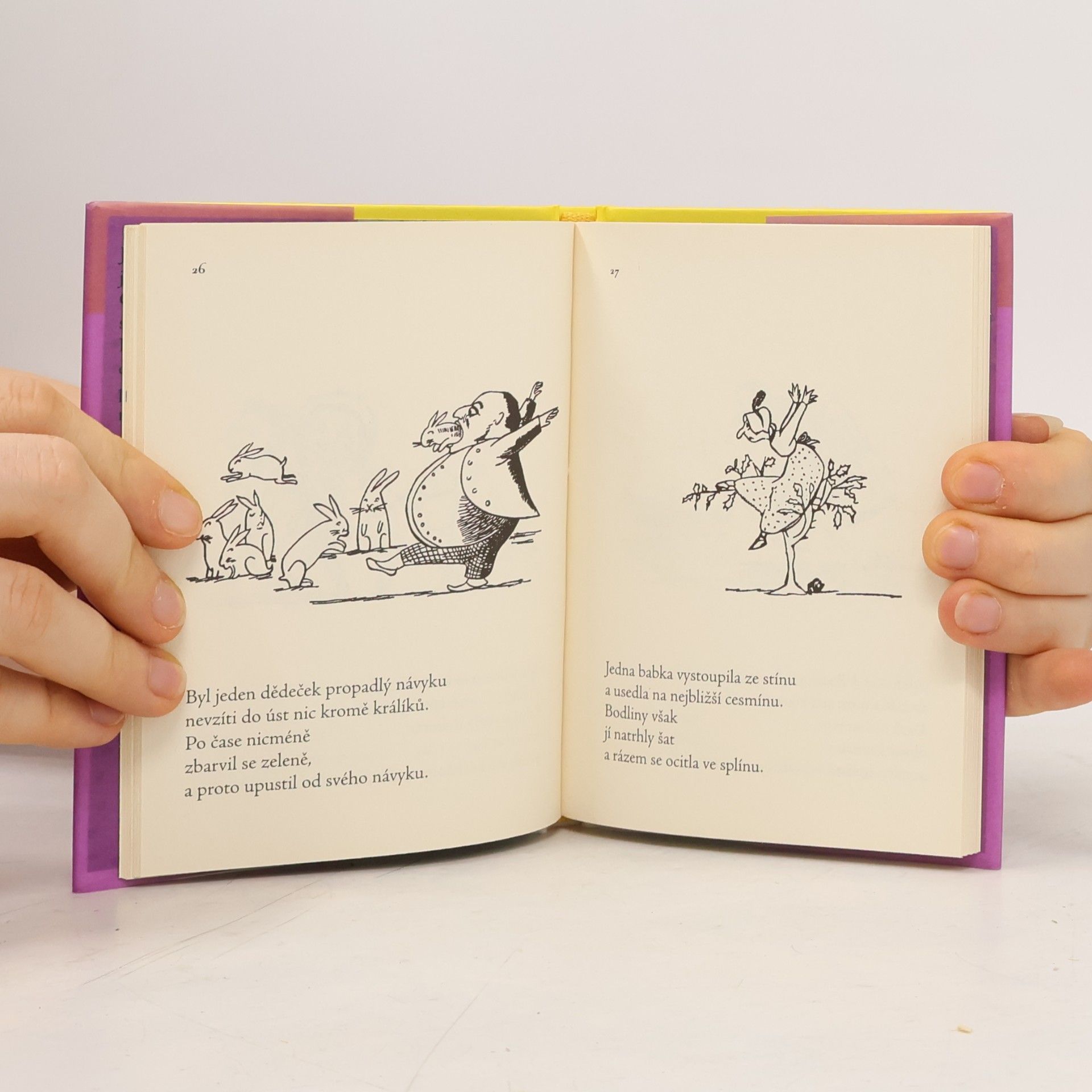 Edward Lear Sviňule pyramidální a jiné nesmysly
