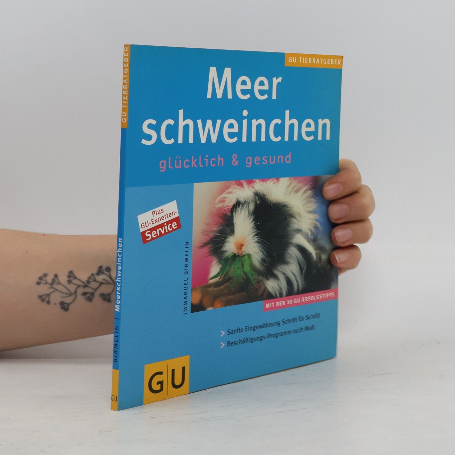 Autorenkollektiv Meer Schweinchen