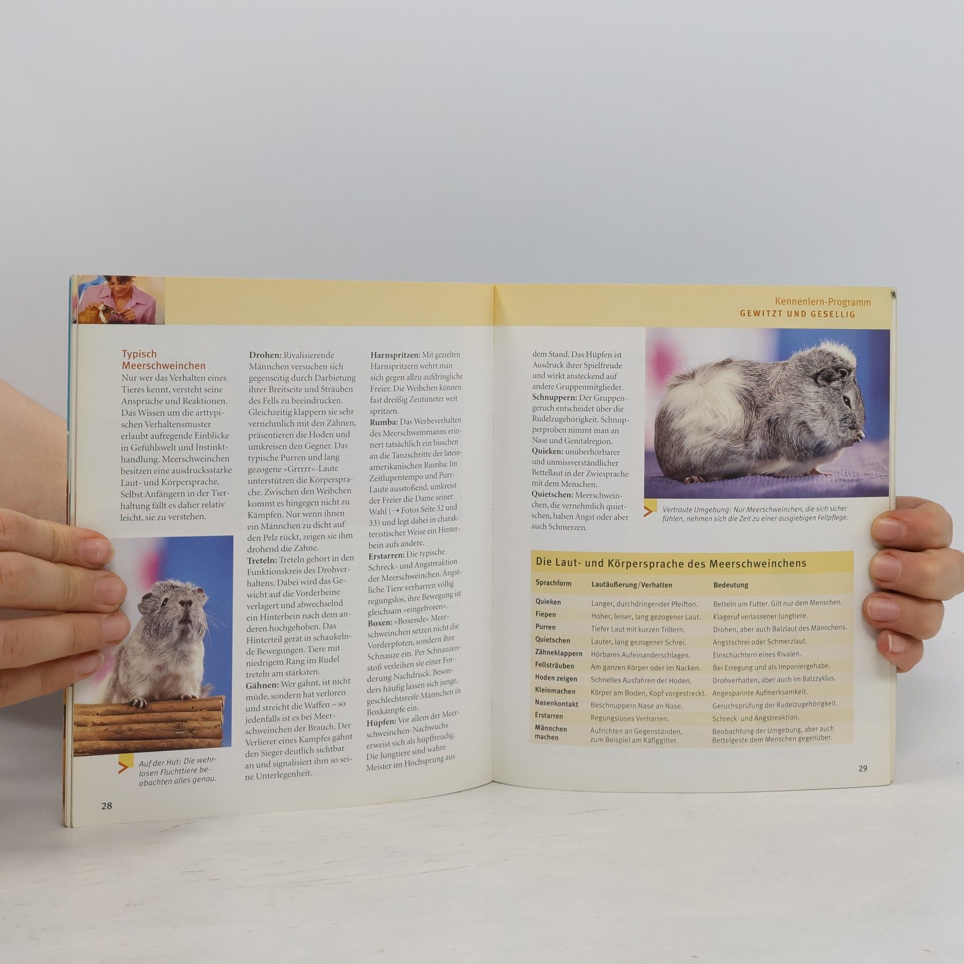 Various authors Meer Schweinchen