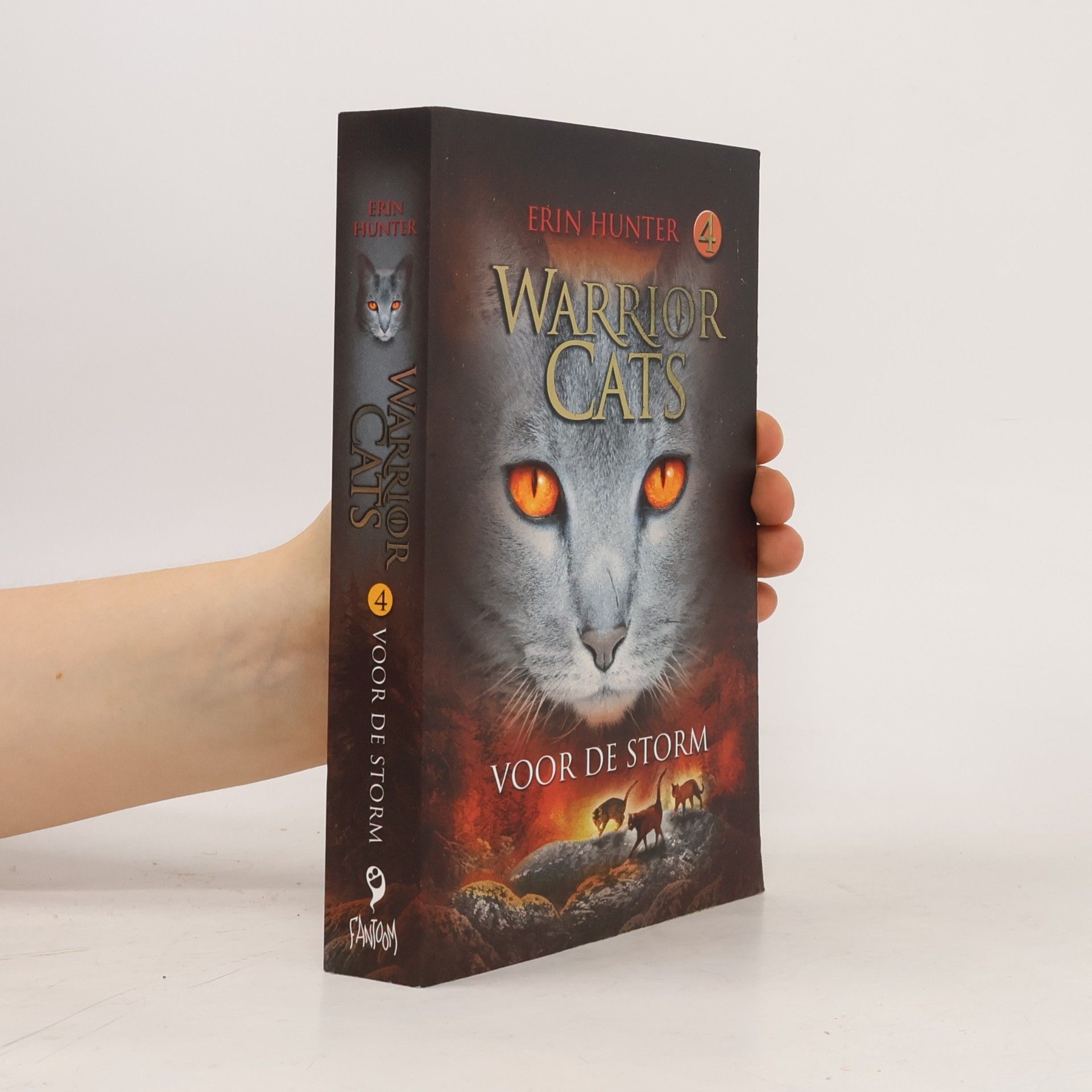 Warrior Cats - 4: Voor de storm