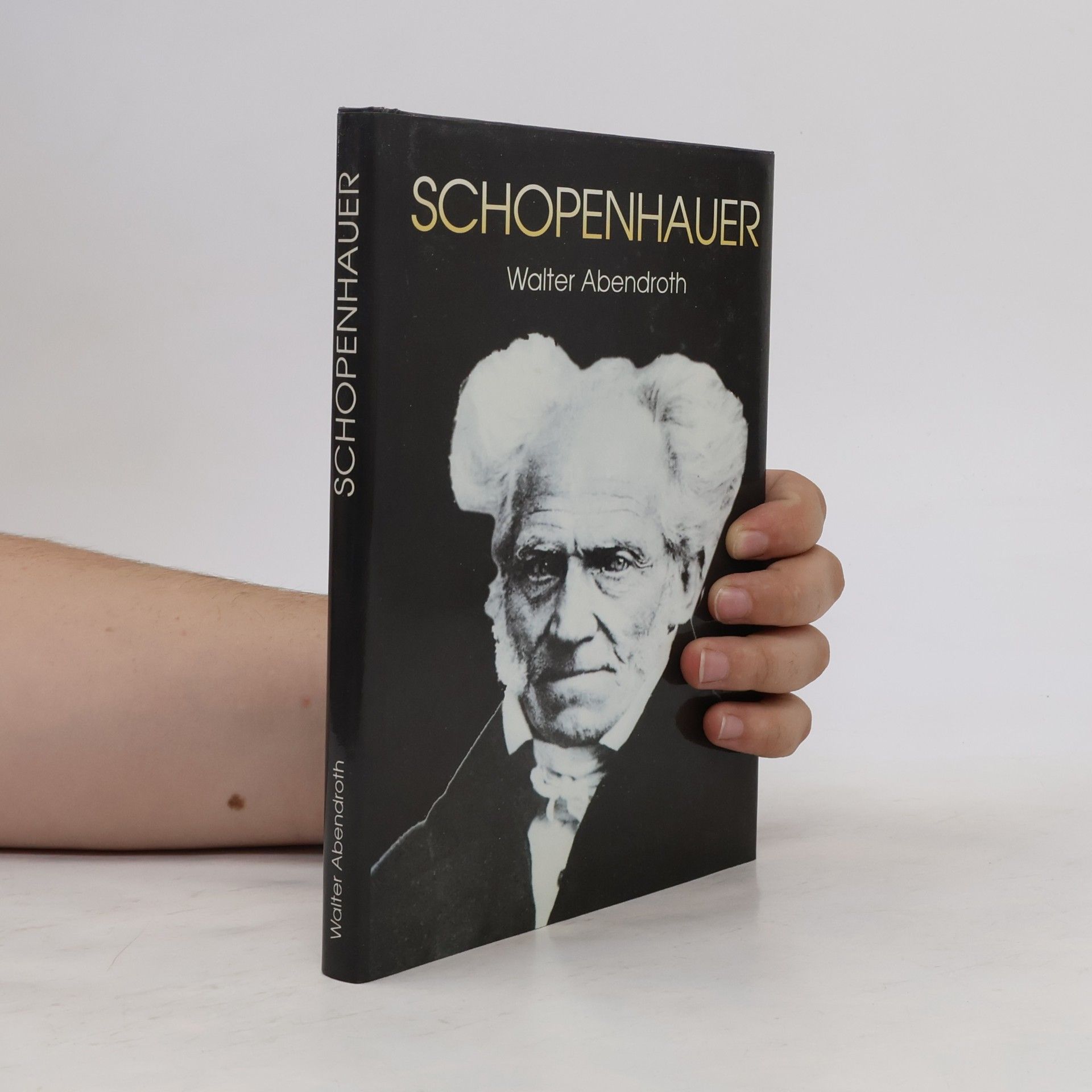 Walter Abendroth Schopenhauer