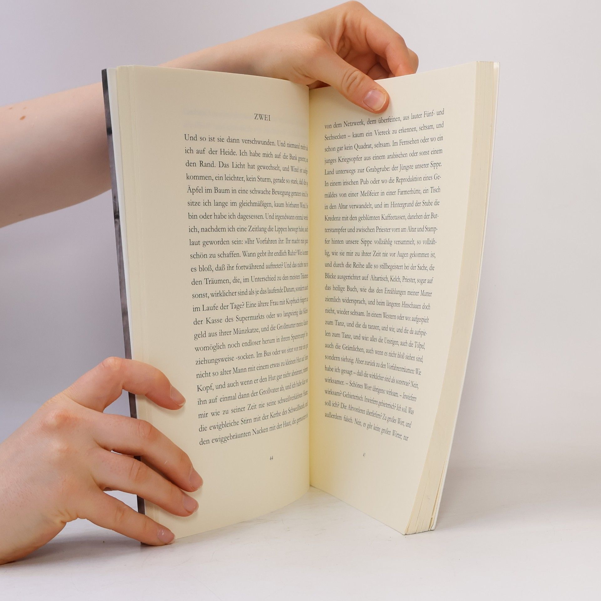 Peter Handke Immer noch Sturm