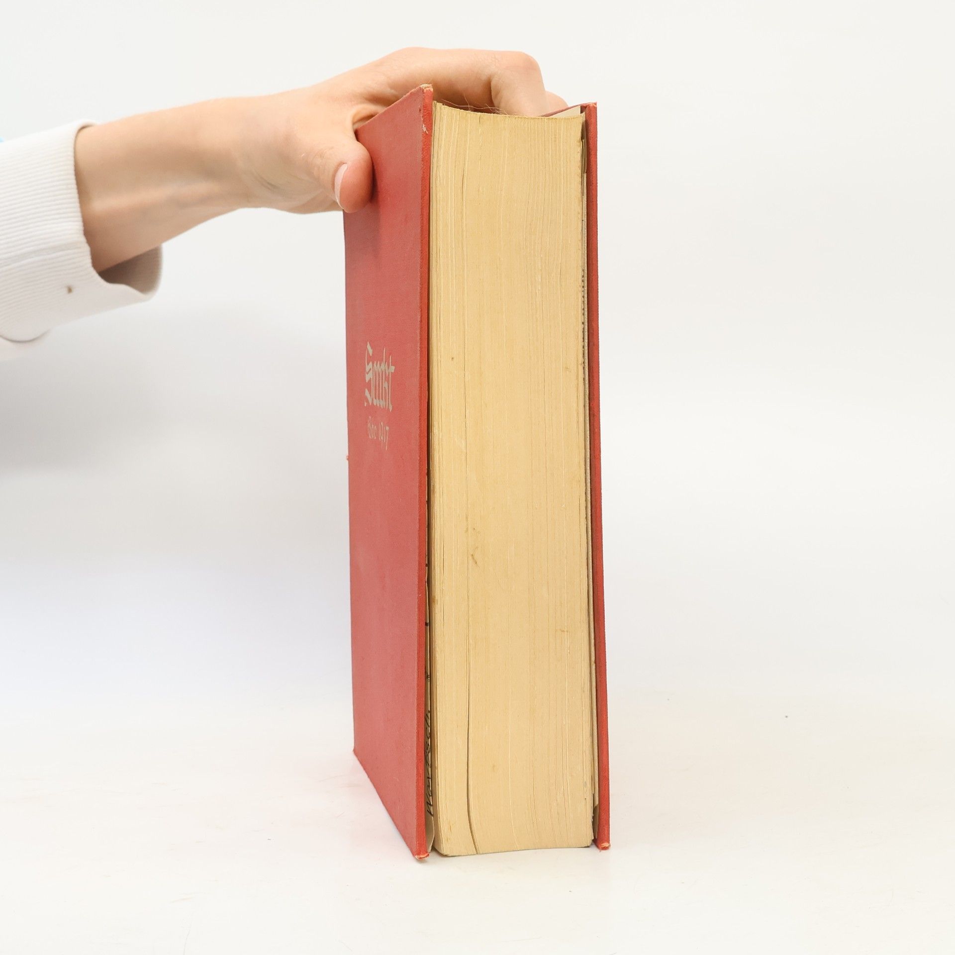 Autorenkollektiv Seeckt. Aus seinem Leben 1918-1936
