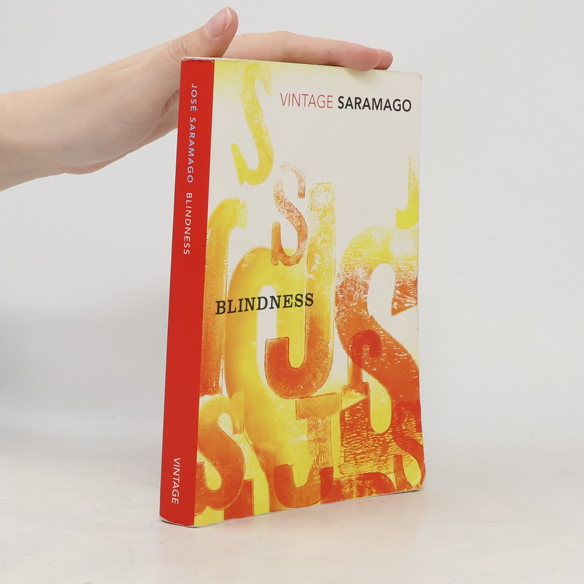 José Saramango Blindness