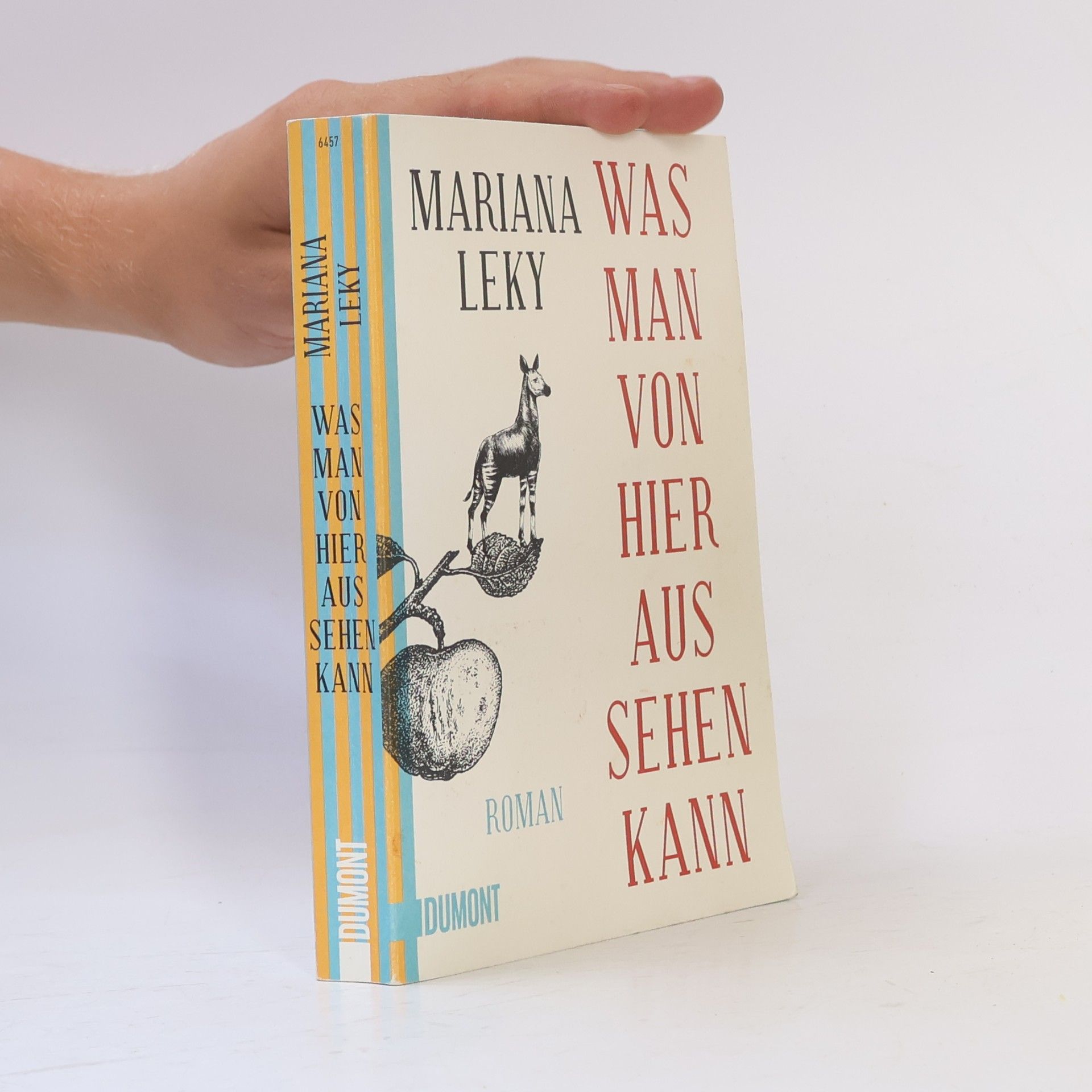 Mariana Leky Was man von hier aus sehen kann