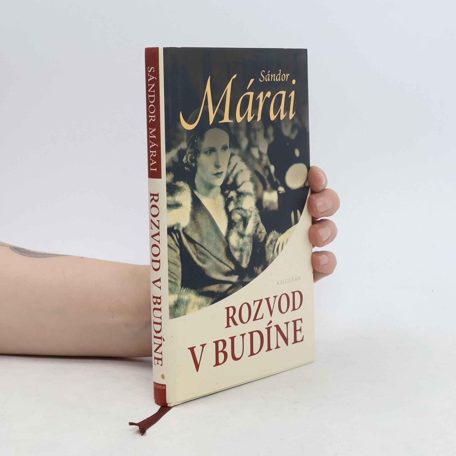 Sándor Márai Rozvod v Budíne