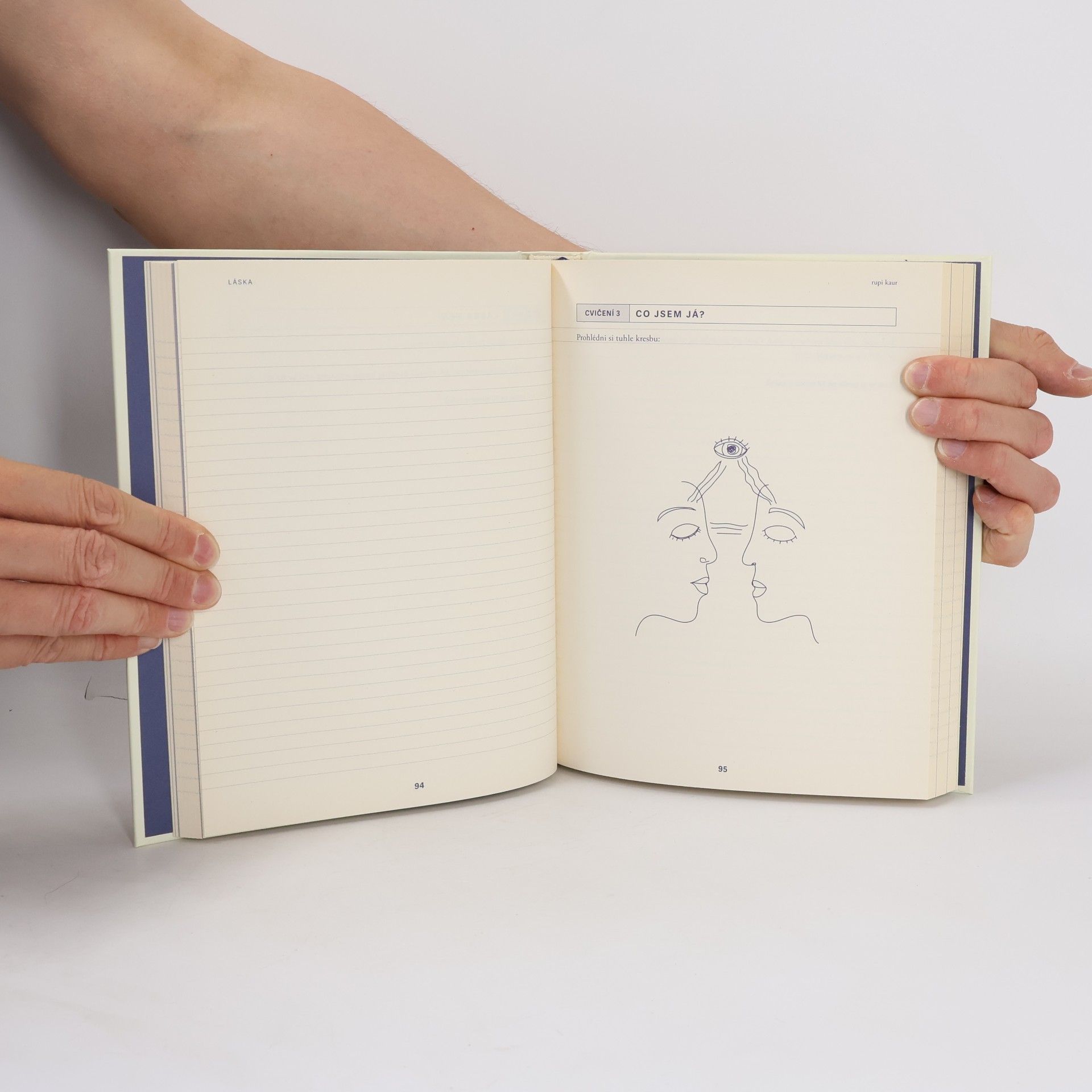 Rupi Kaur Léčivá moc psaní