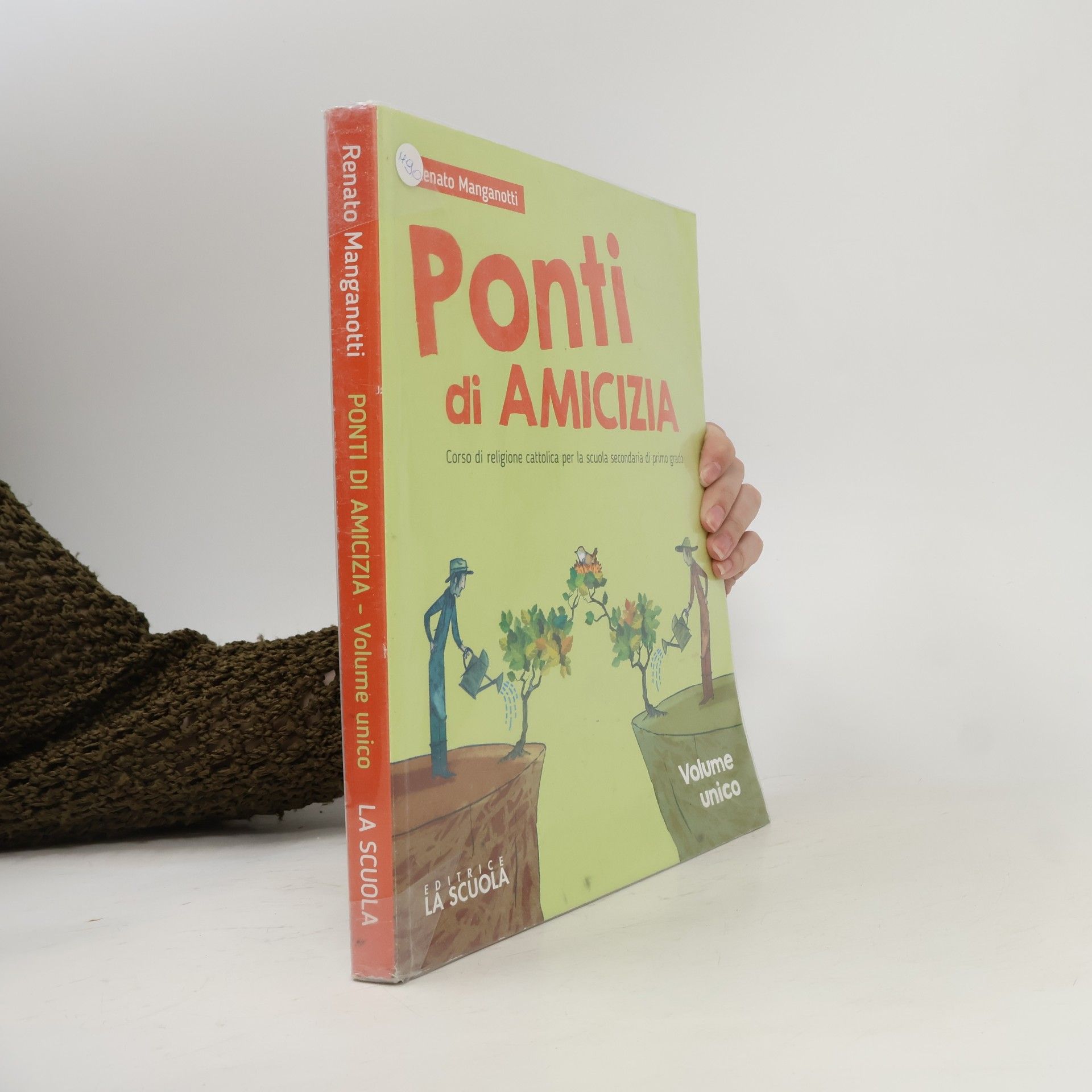 Ponti di amicizia