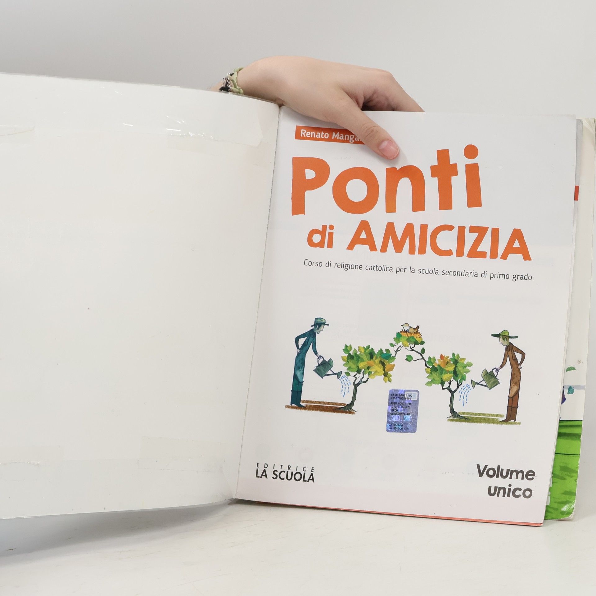Renato Manganotti Ponti di amicizia