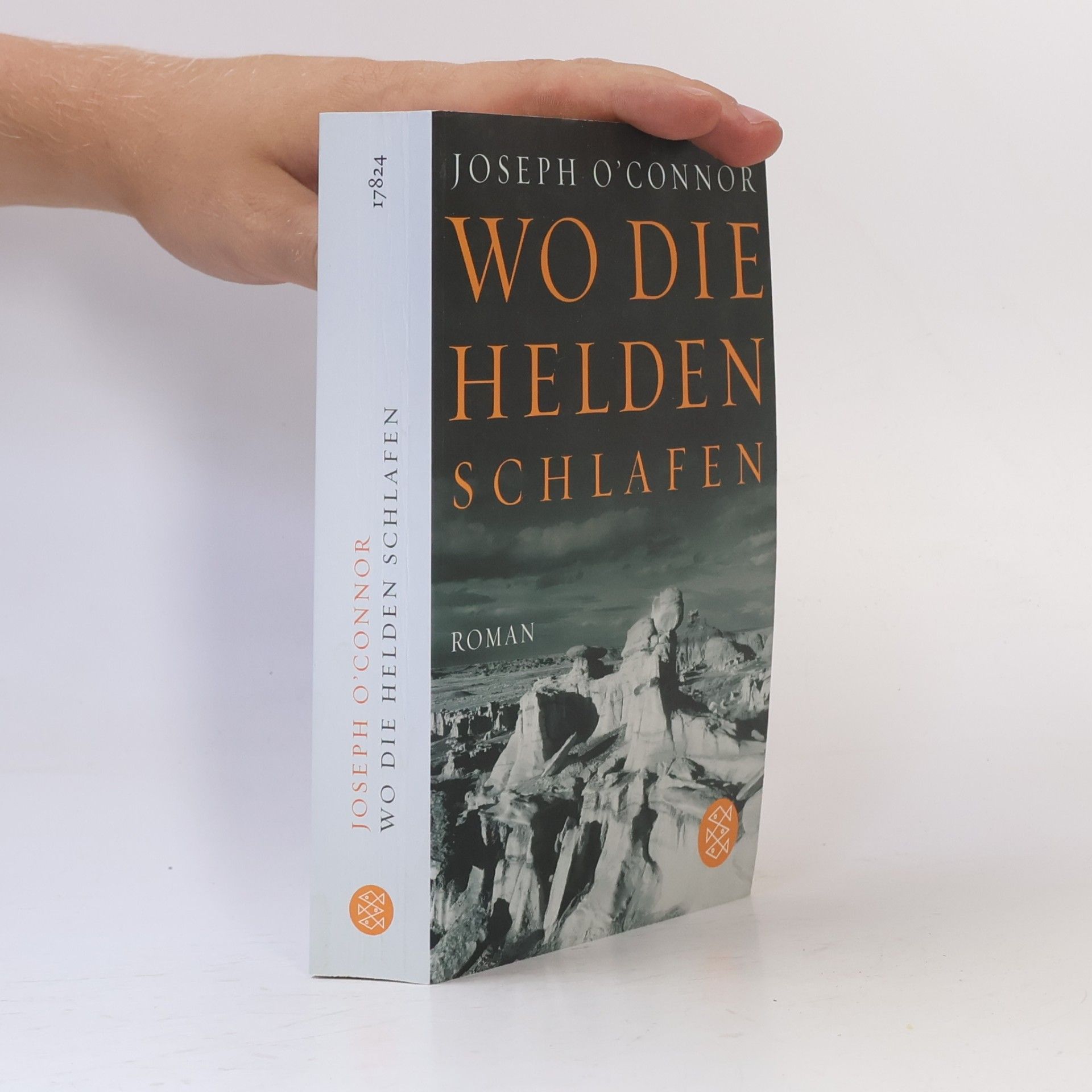 Joseph O'Connor Wo die Helden schlafen