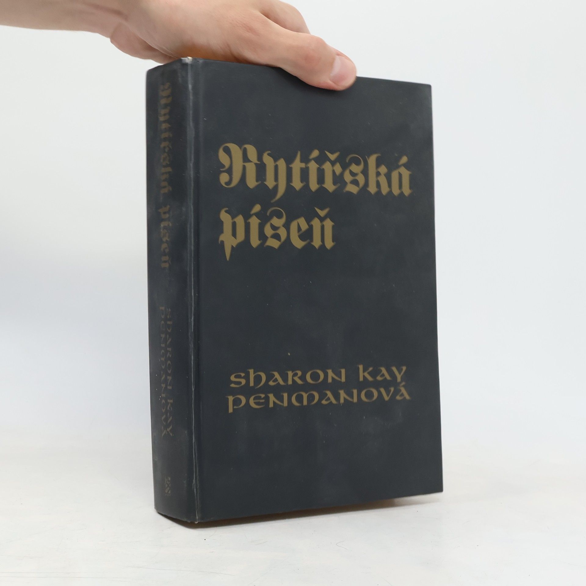 Sharon Kay Penman Rytířská píseň