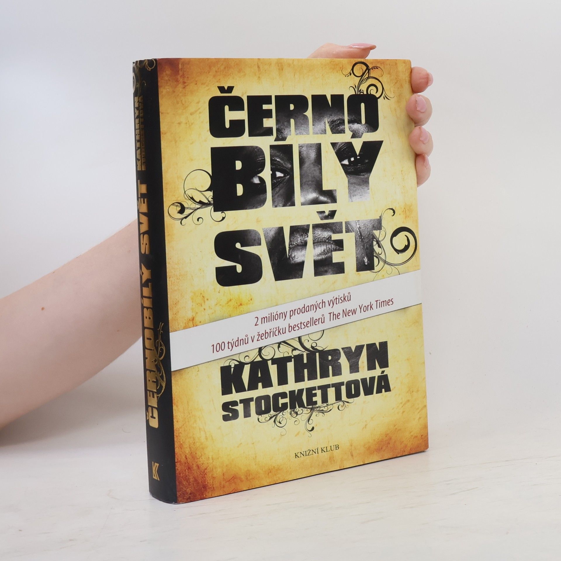 Kathryn Stockett Černobílý svět