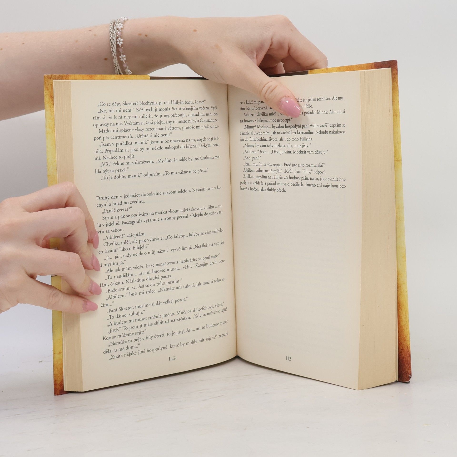 Kathryn Stockett Černobílý svět