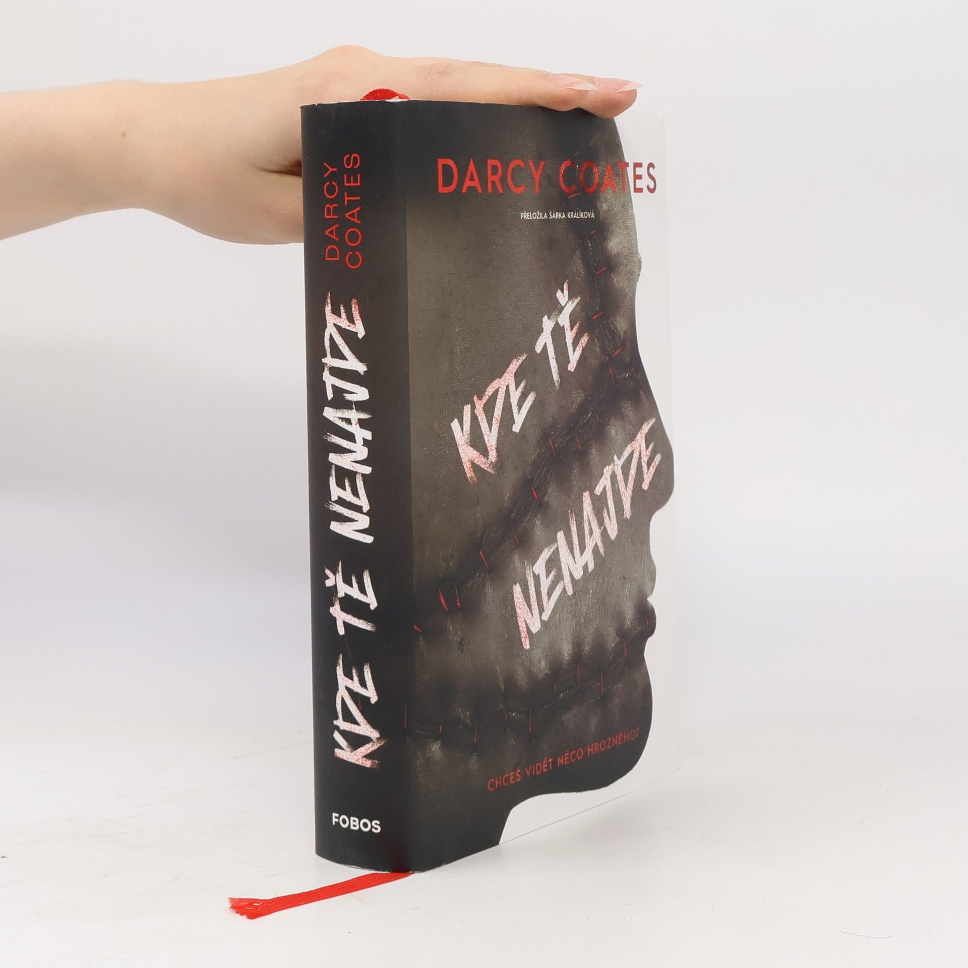 Darcy Coates Kde tě nenajde