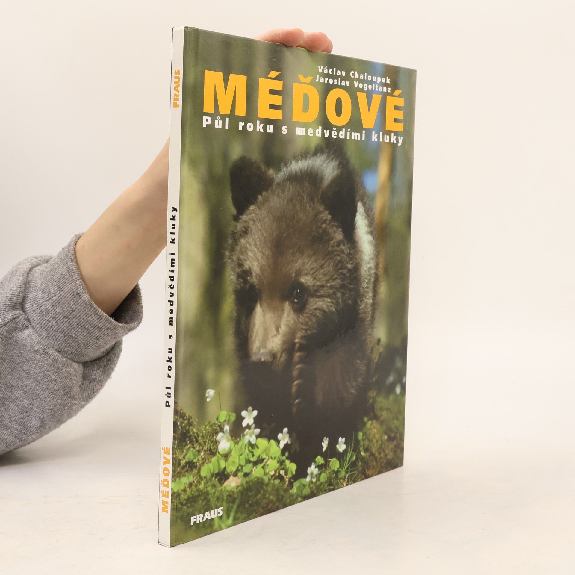 Václav Chaloupek Méďové. Půl roku s medvědími kluky