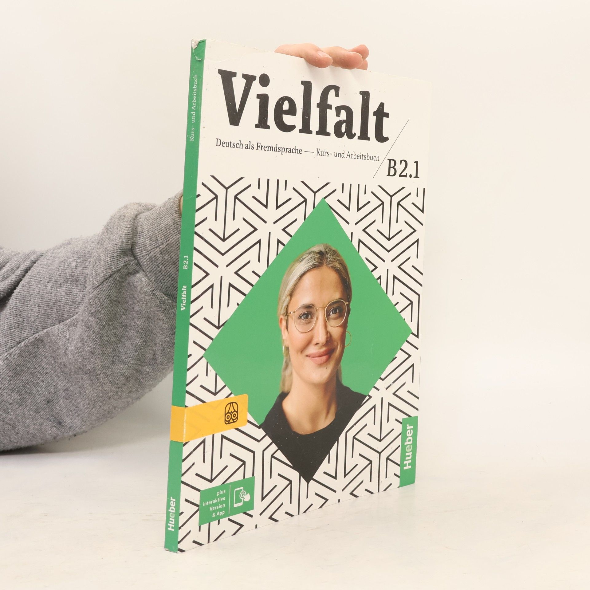 Collectif d'auteurs Vielfalt: Deutsch als Fremdsprache B 2.1