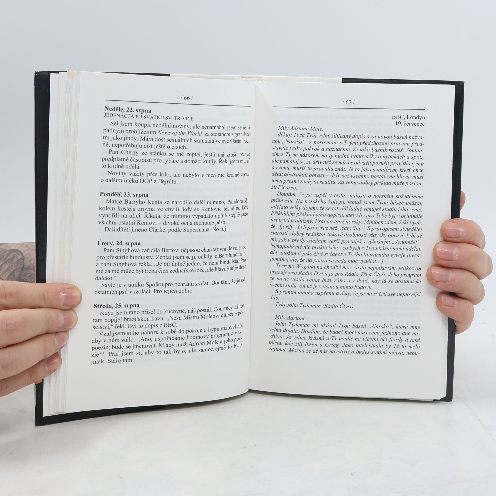 Sue Townsend Hořké zrání Adriana Molea