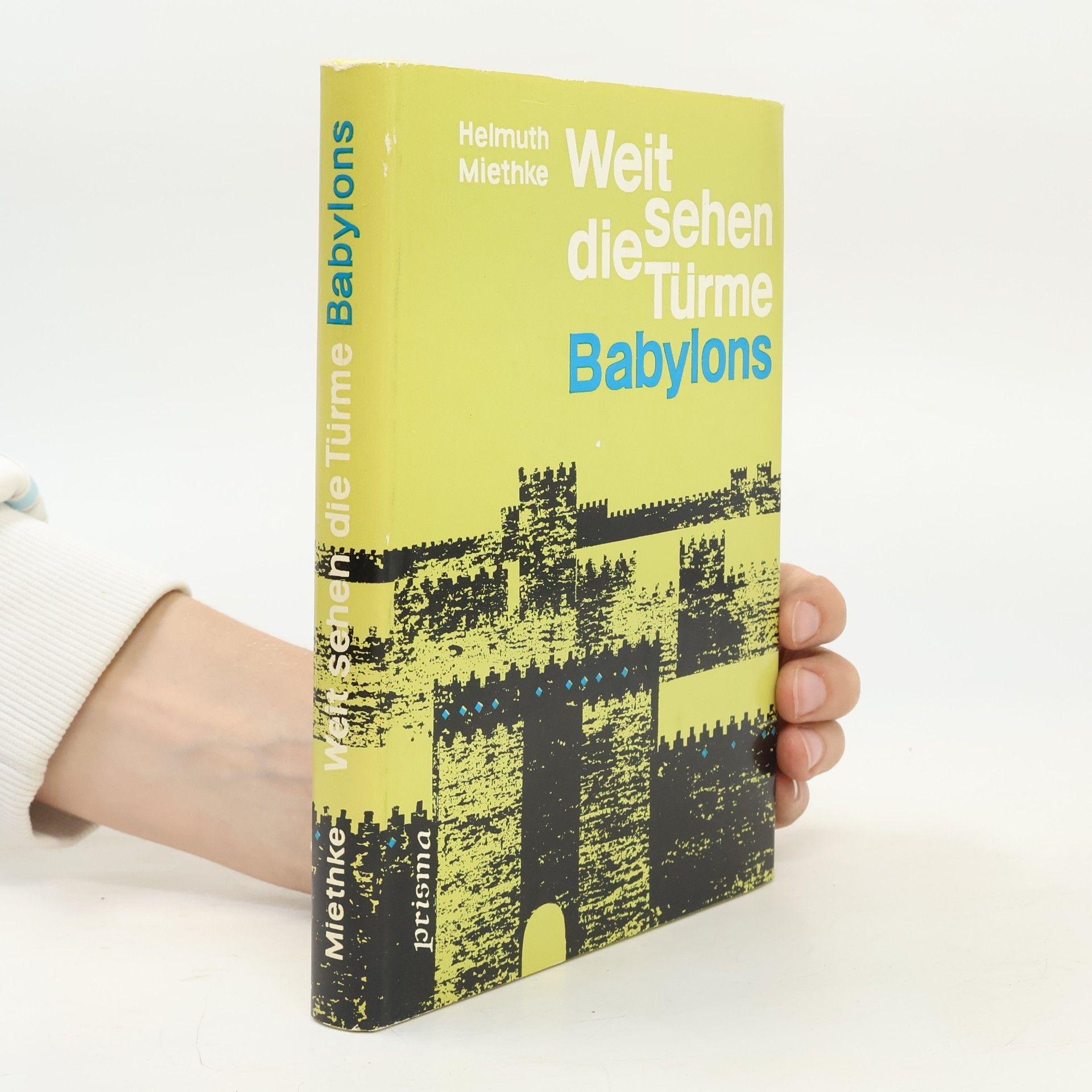 Helmuth Miethke Weit sehen die Türme Babylons