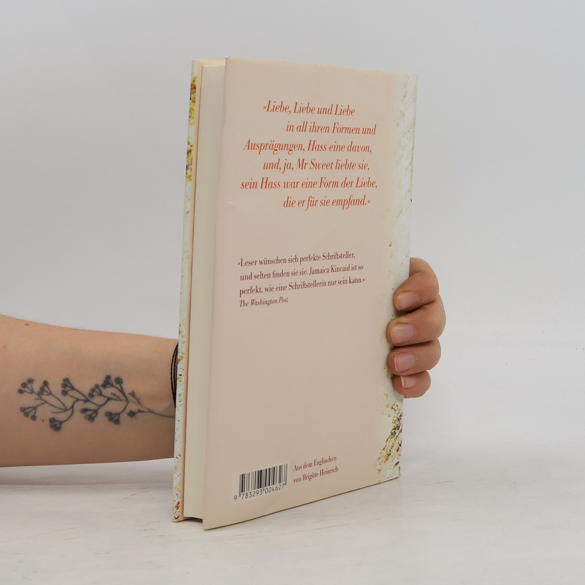 Jamaica Kincaid Damals, jetzt und überhaupt