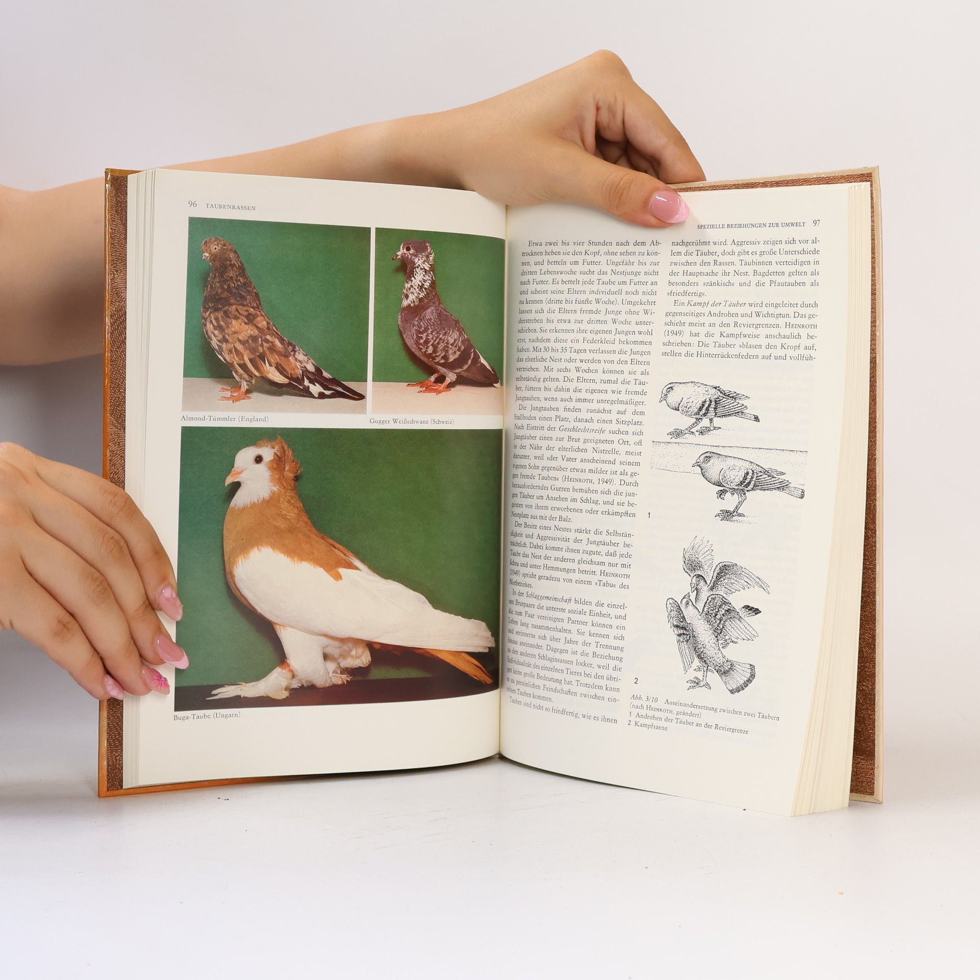Manfred Hartmann Das Tauben Buch