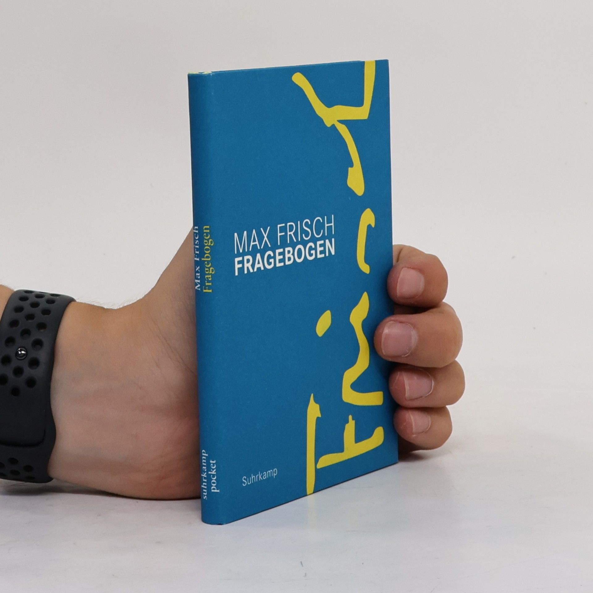 Max Frisch Fragebogen
