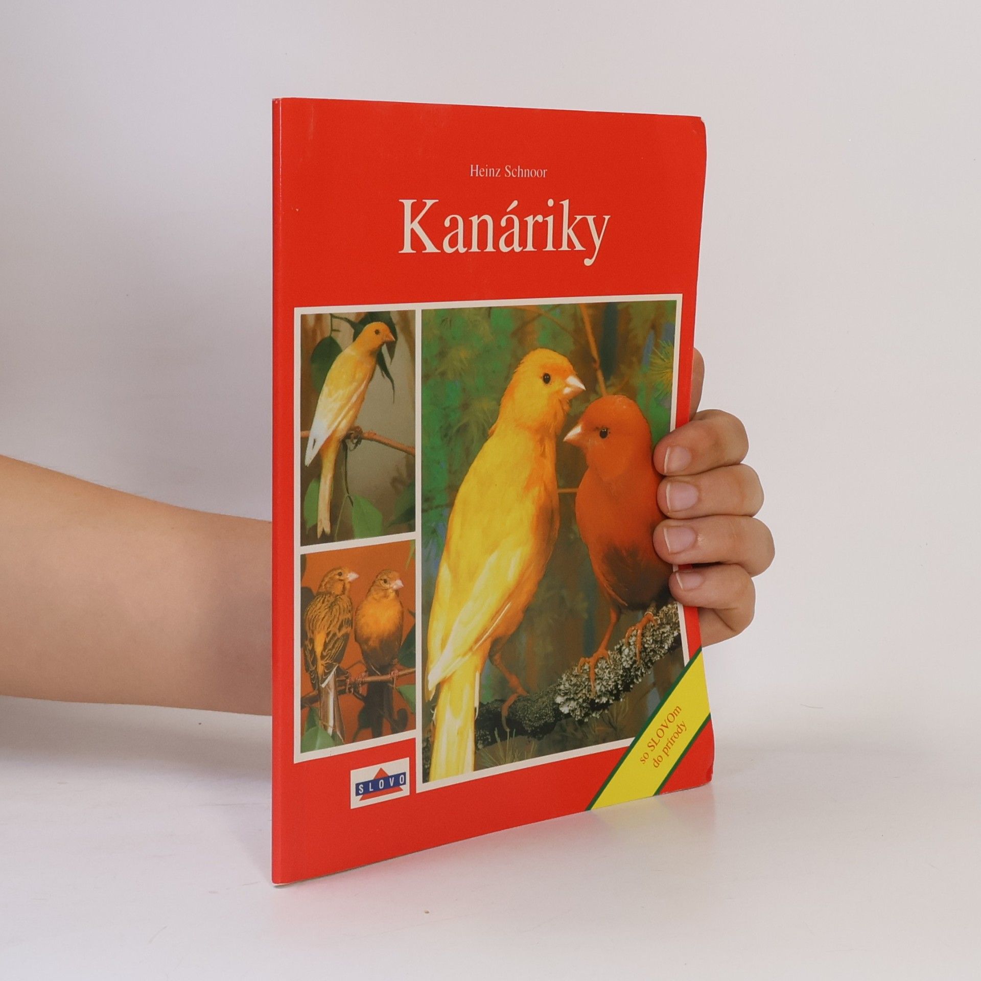 Heinz Schnoor Kanáriky
