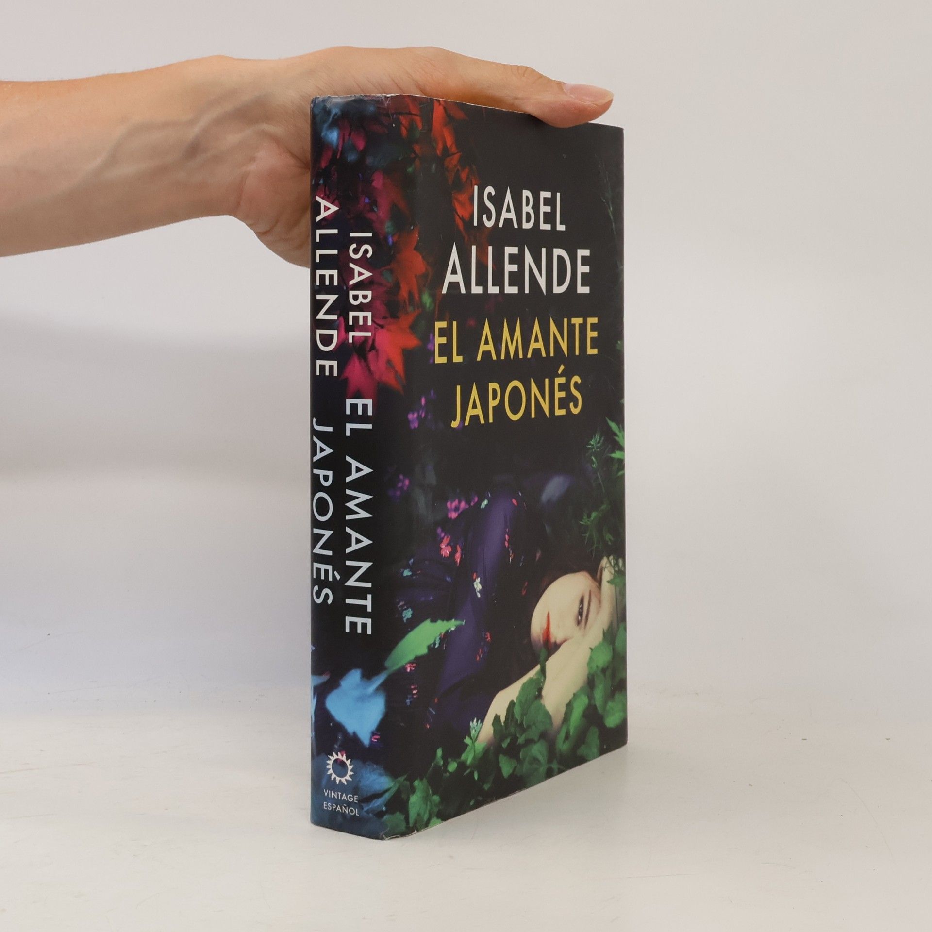 Isabel Allende Llona El amante japonés