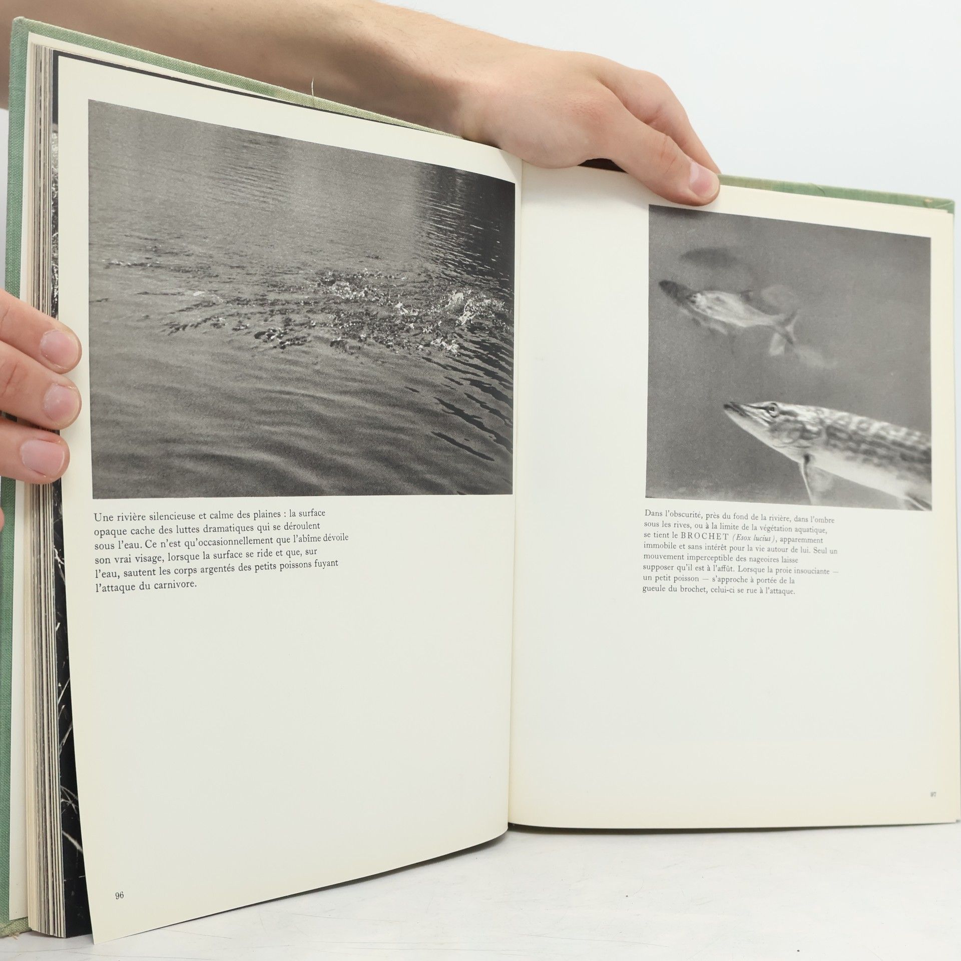 Sláva Štochl Pêches dans les rivières et les étangs