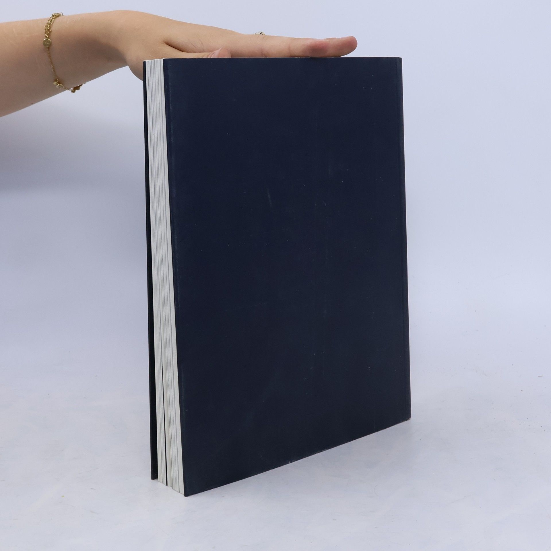 Wieland Schmied Zwischenbilanz. Internationale Sommerakademie für Bildende Kunst 1981-1993.