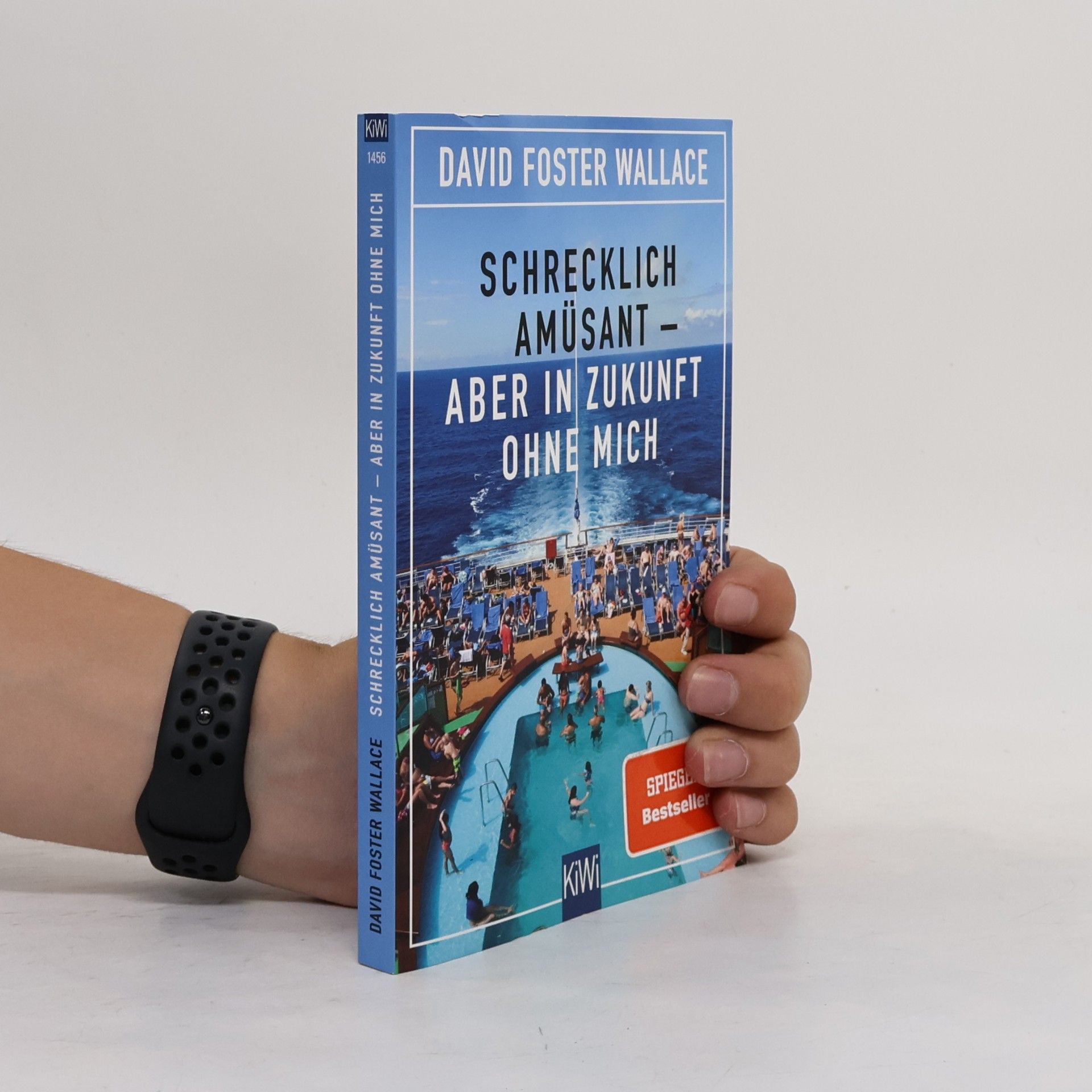 David Foster Wallace Schrecklich amüsant - aber in Zukunft ohne mich
