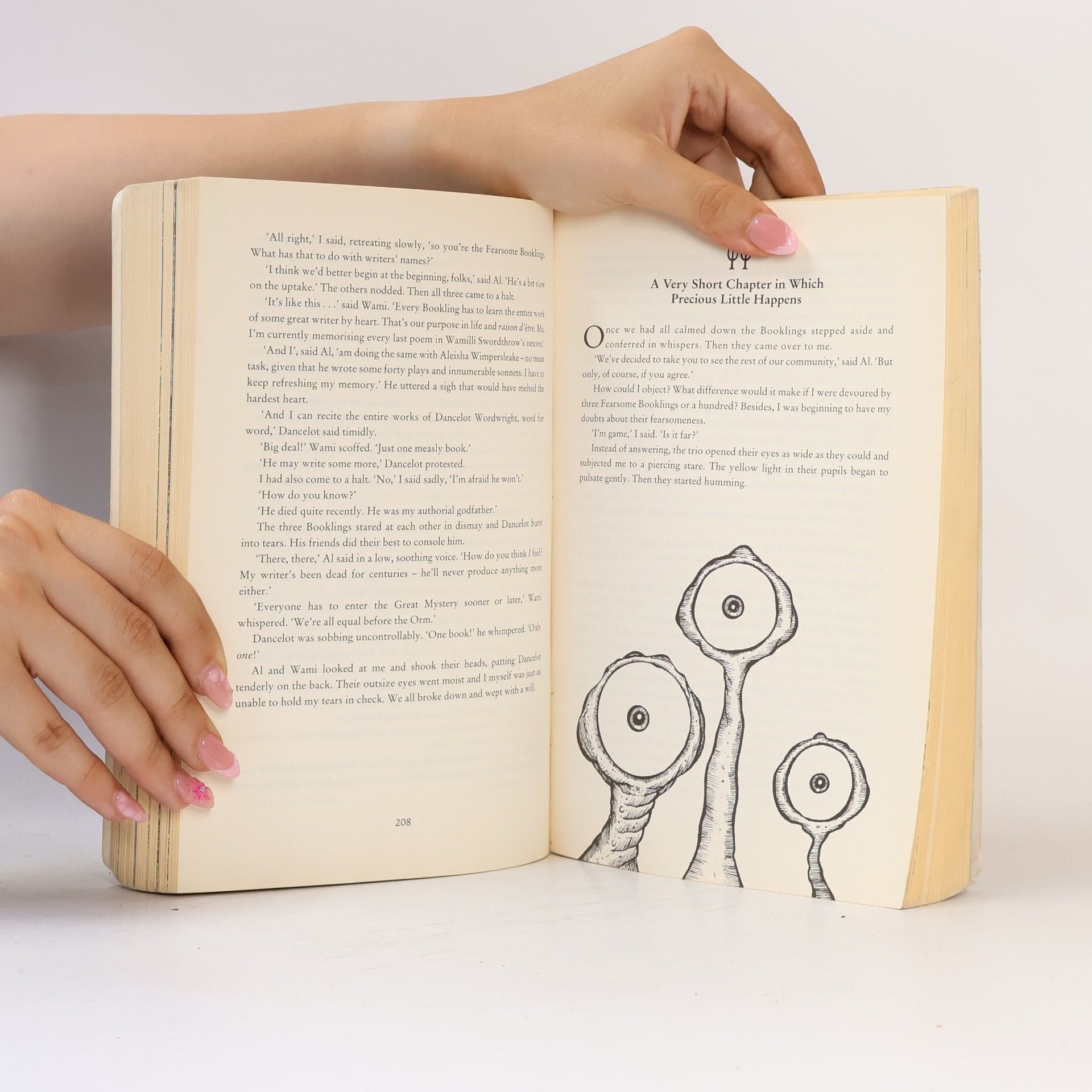 Walter Moers Zamonia - 3: The City of Dreaming Books