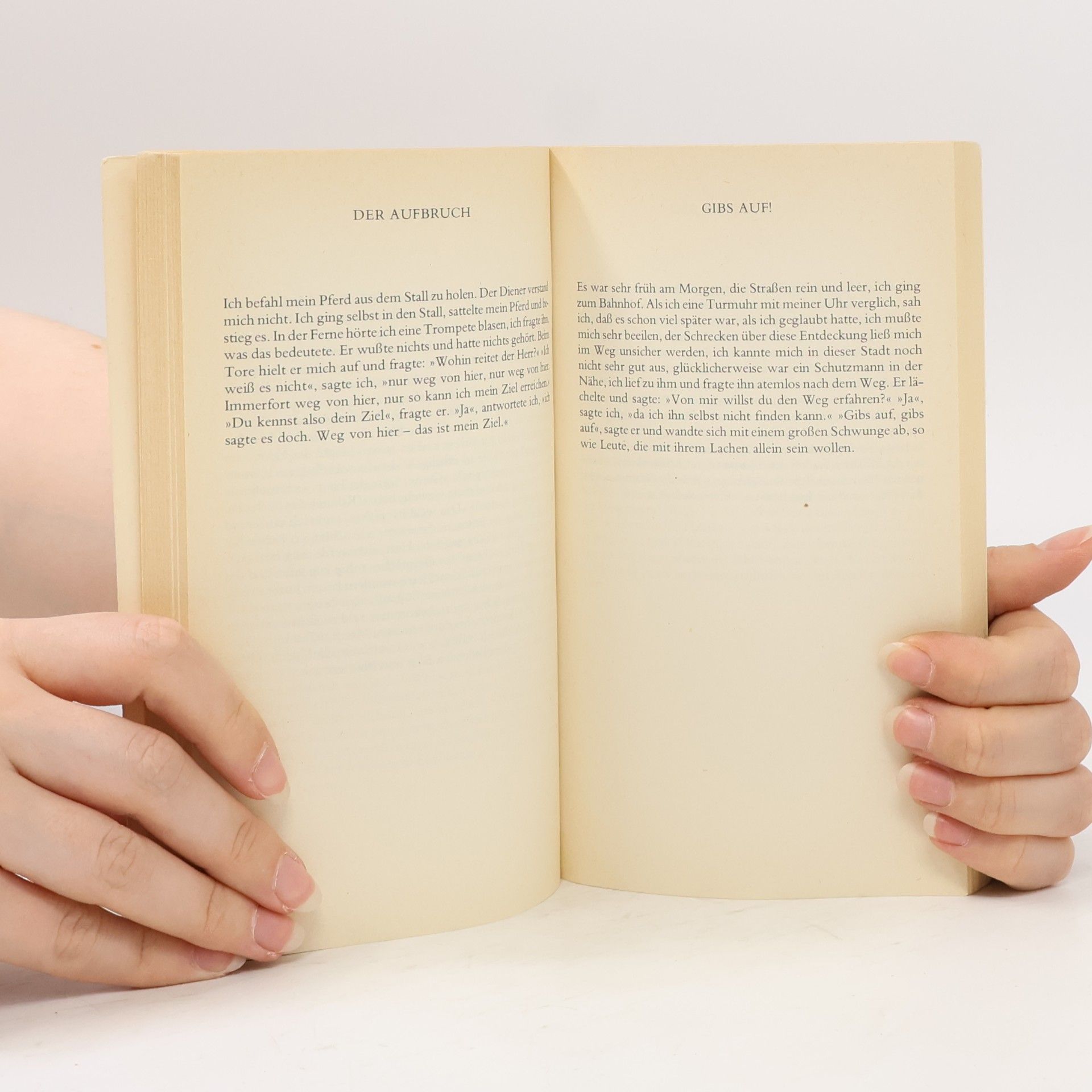 Franz Kafka Beschreibung eines Kampfes : Novellen, Skizzen, Aphorismen : aus dem Nachlaß