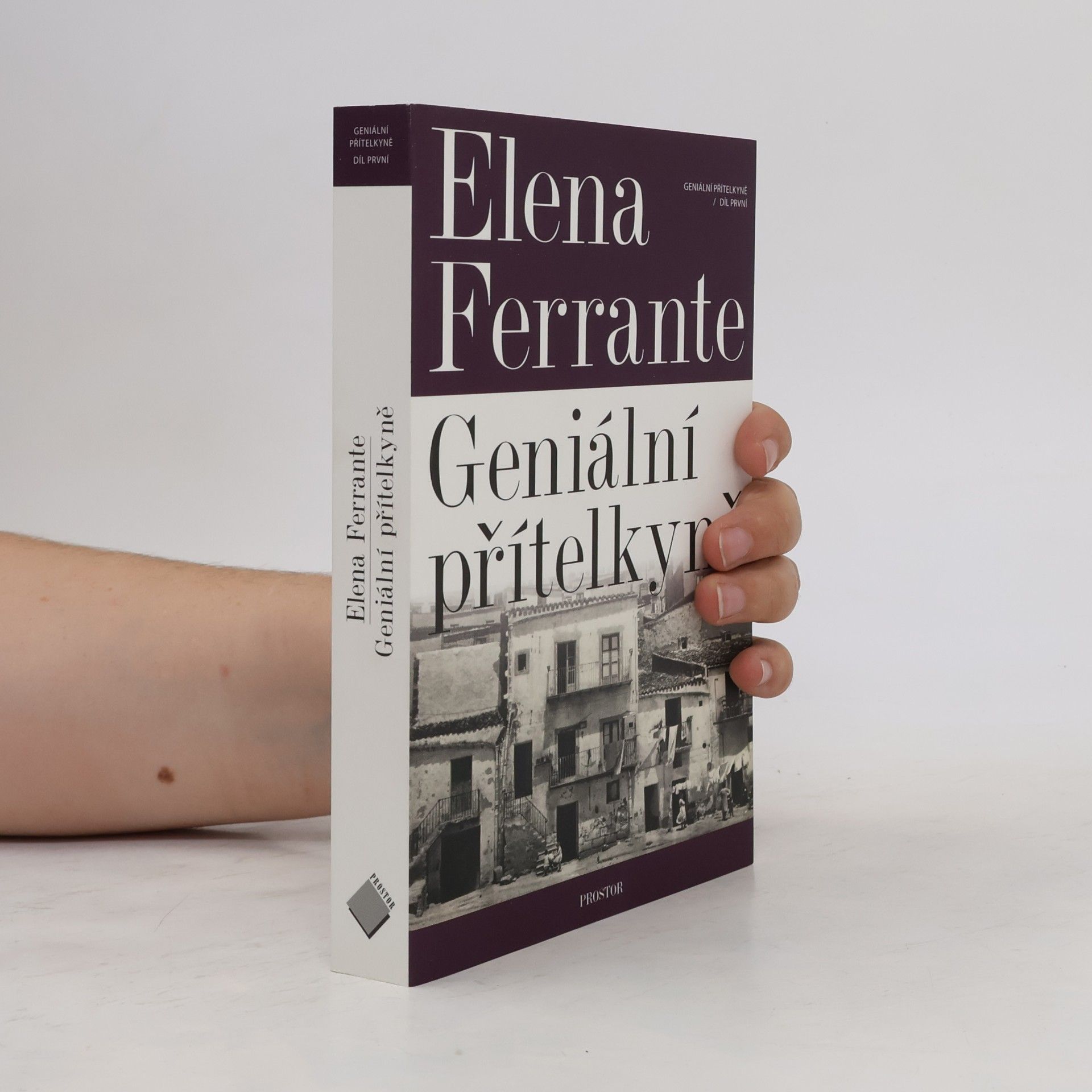 Elena Ferrante Geniální přítelkyně 1. Dětství a dospívání